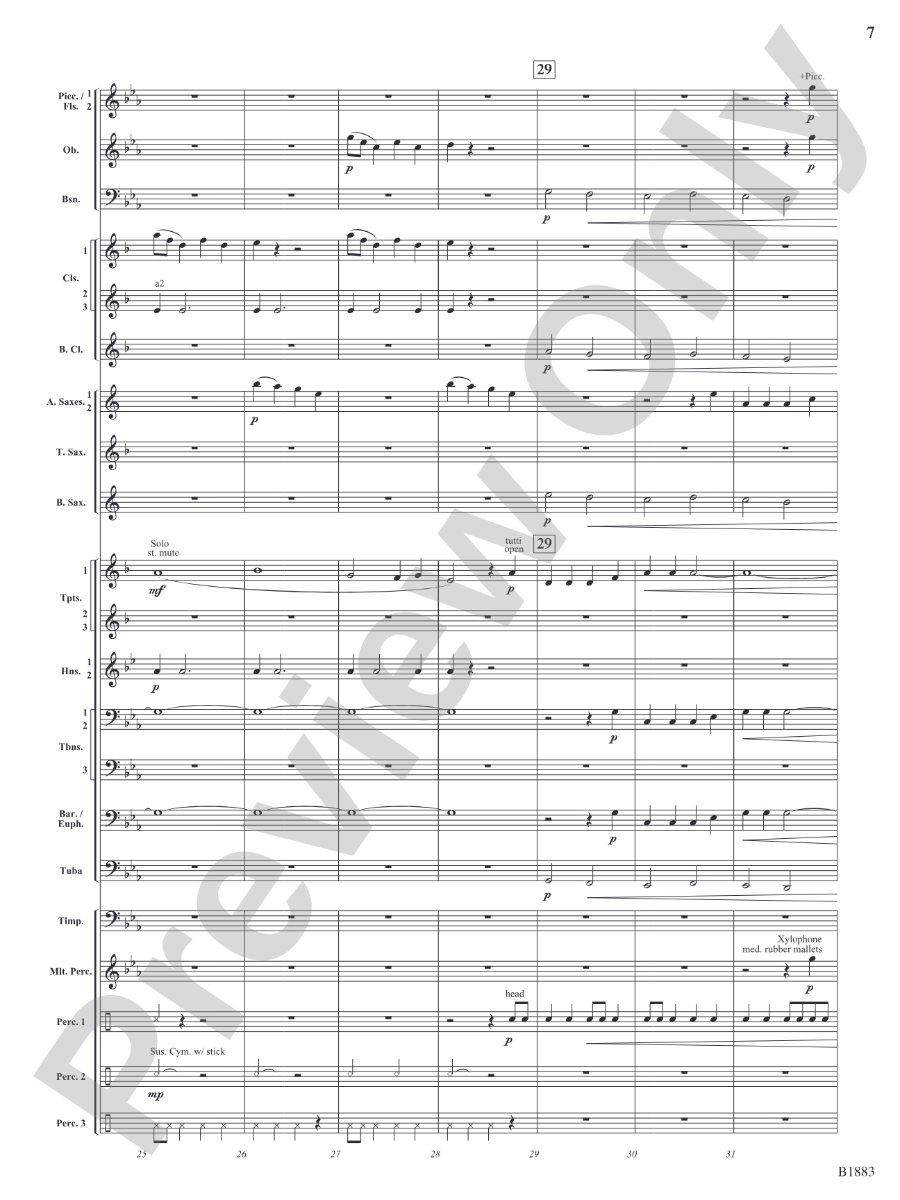 The Wellerman Come: Concert Band Conductor Score & Parts