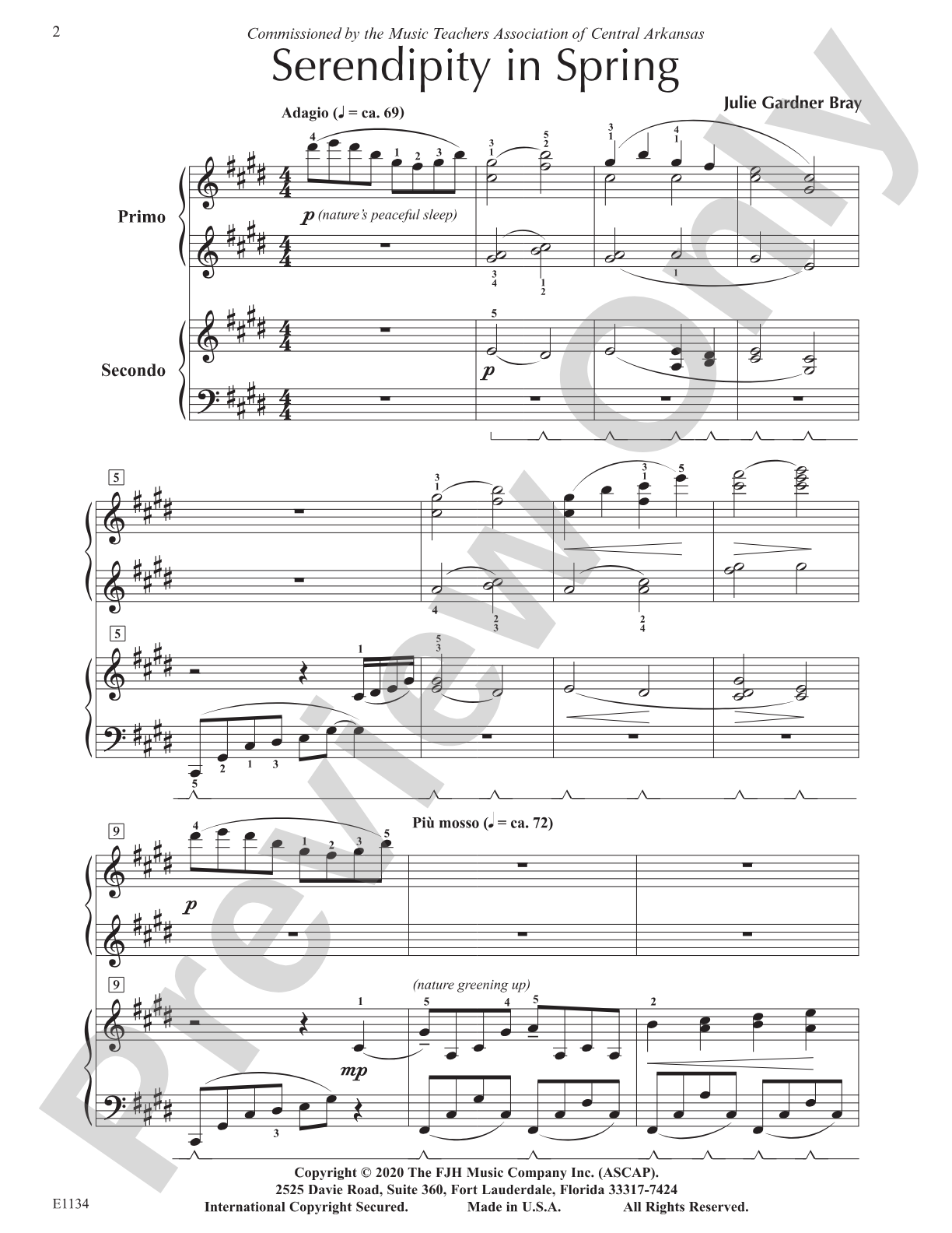 Serendipity in Spring: Piano