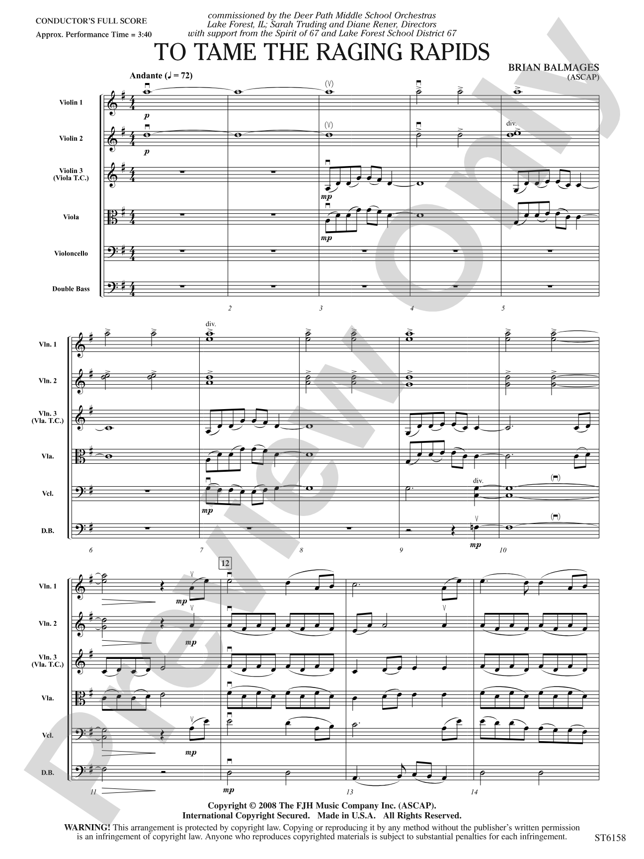 To Tame the Raging Rapids: String Orchestra Conductor Score & Parts