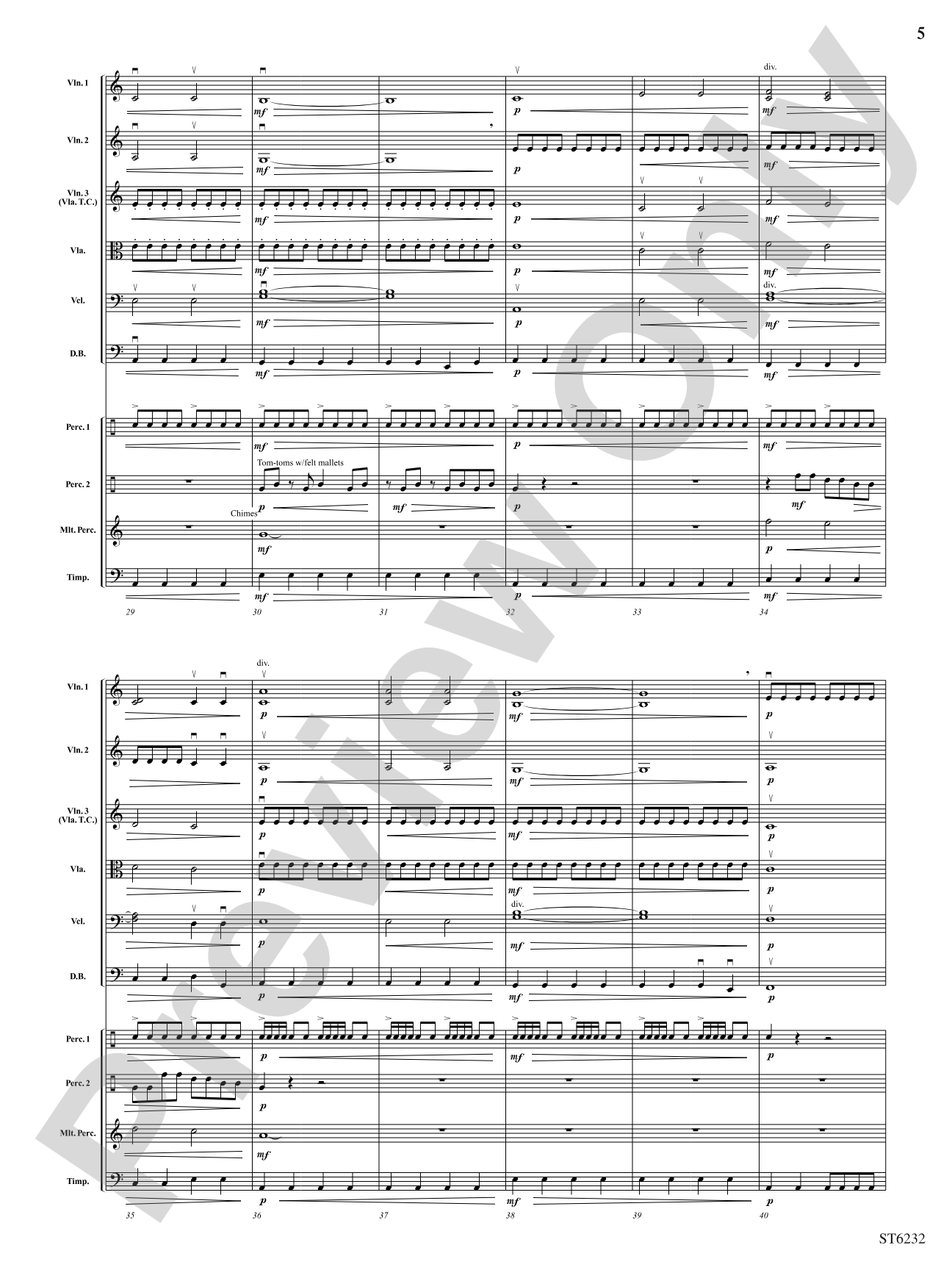 The Storm Chaser: Score