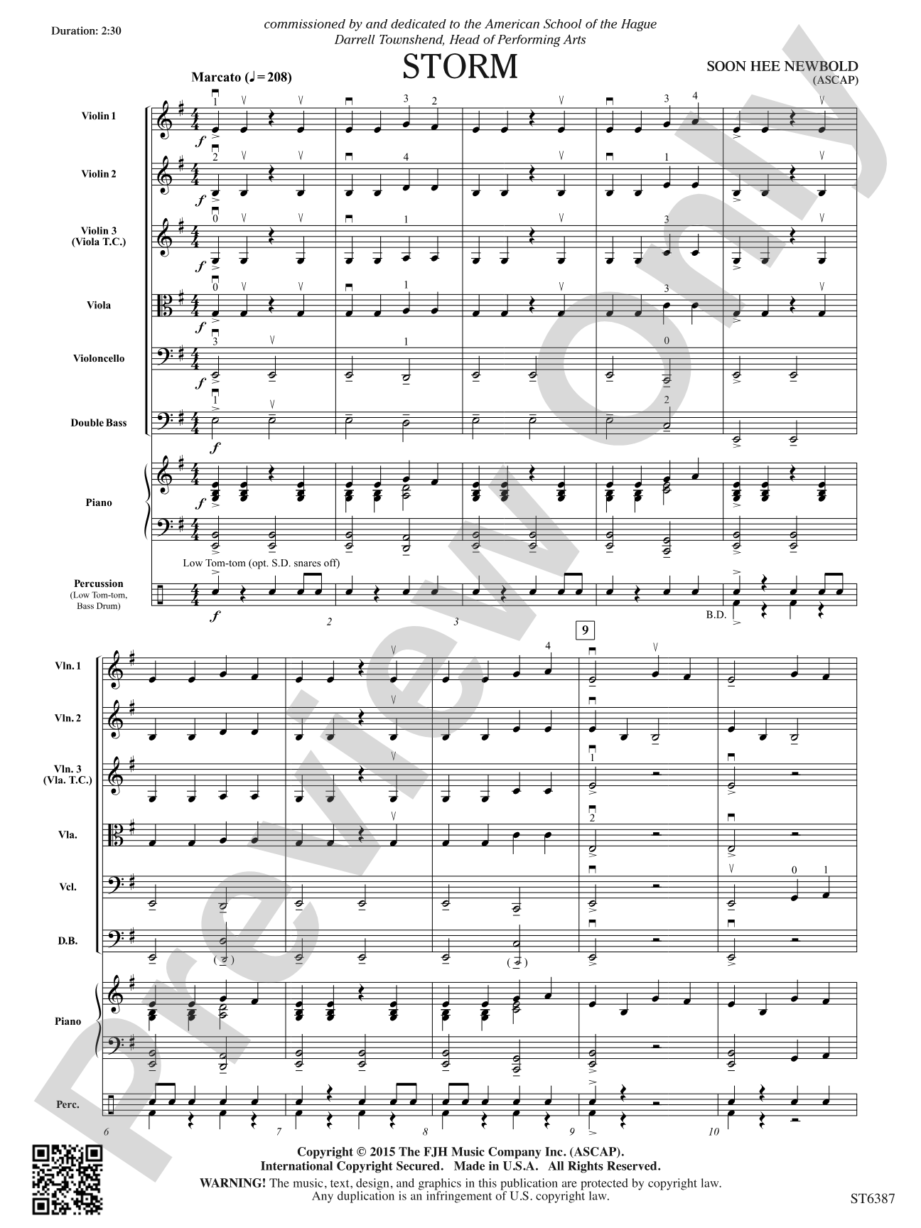 Storm: String Orchestra Conductor Score & Parts