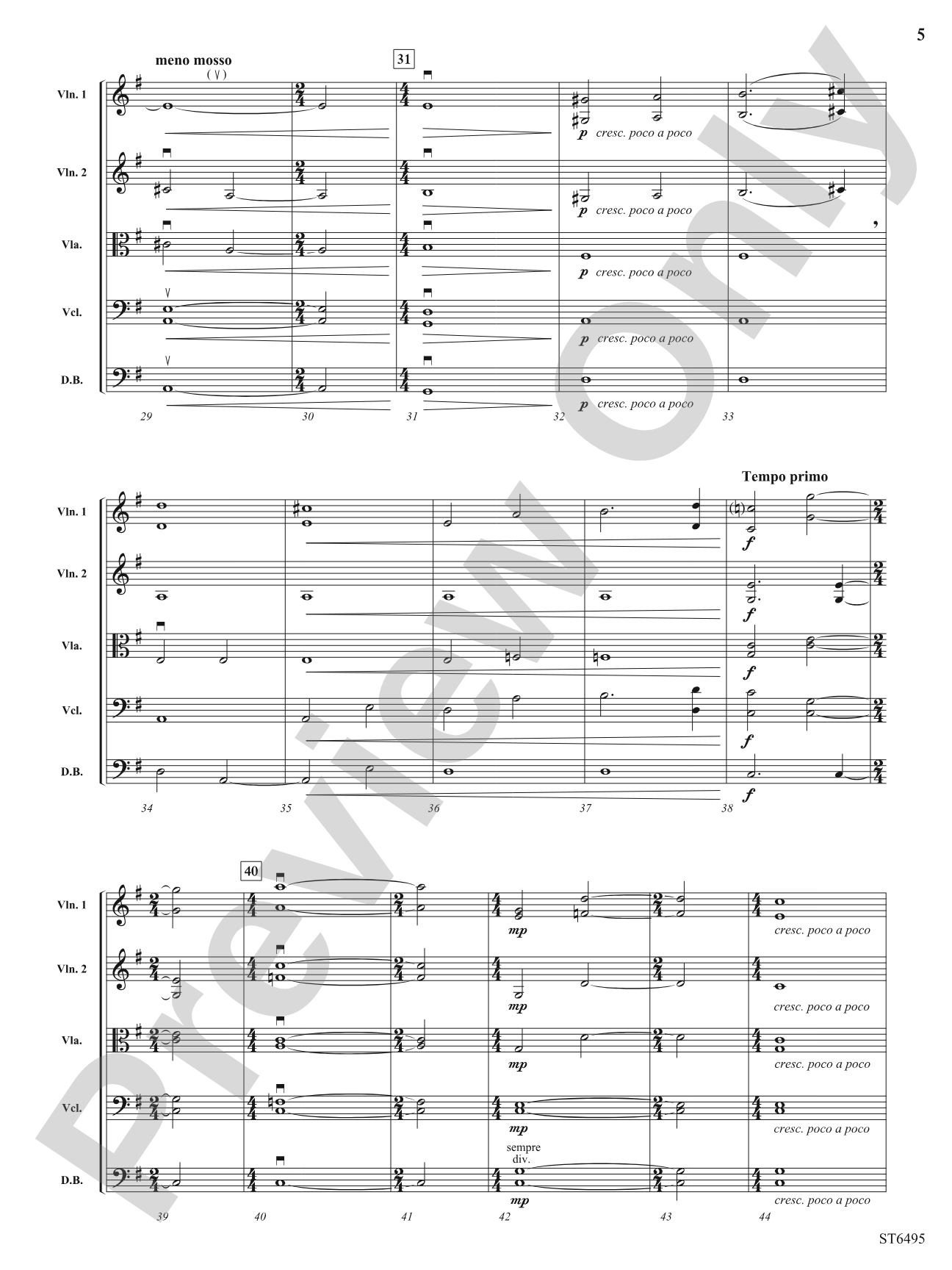 Magical Night Sky: String Orchestra Conductor Score & Parts