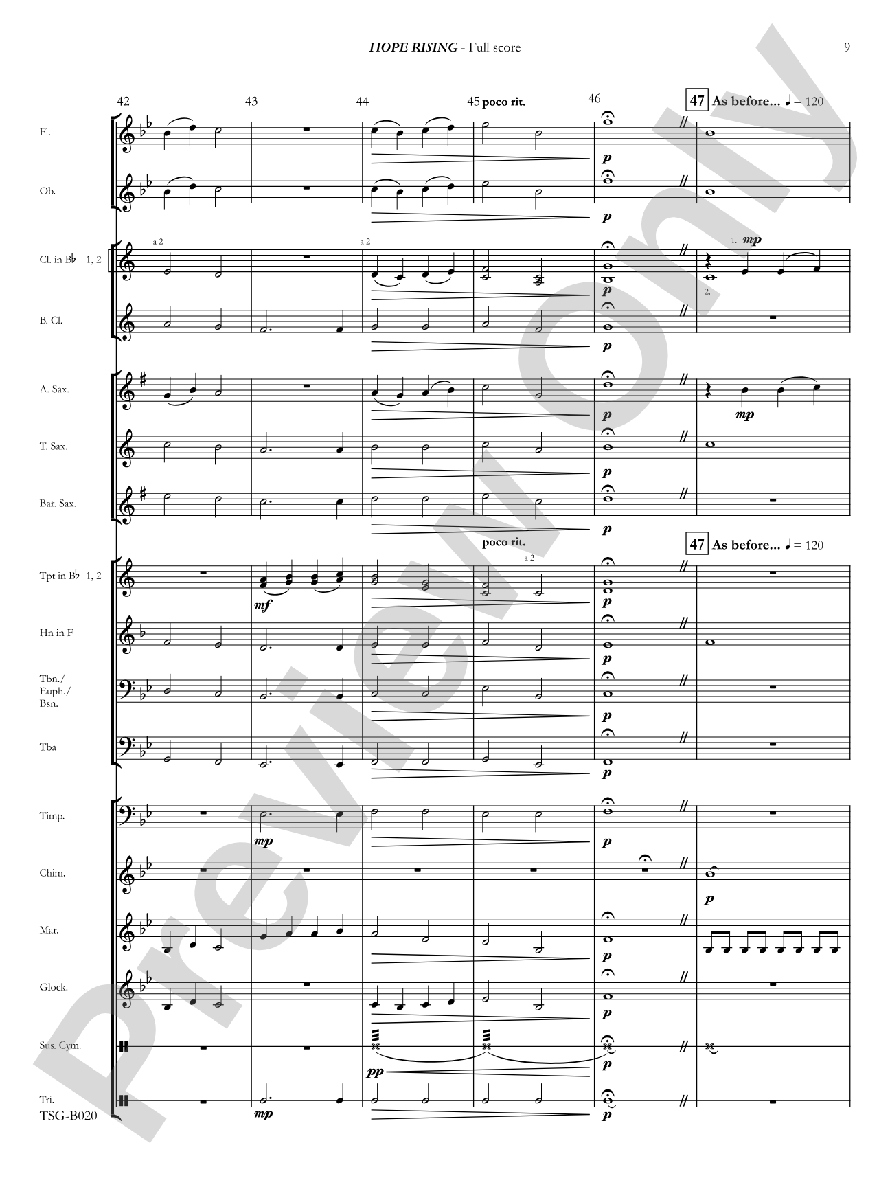 Hope Rising: Concert Band Conductor Score & Parts