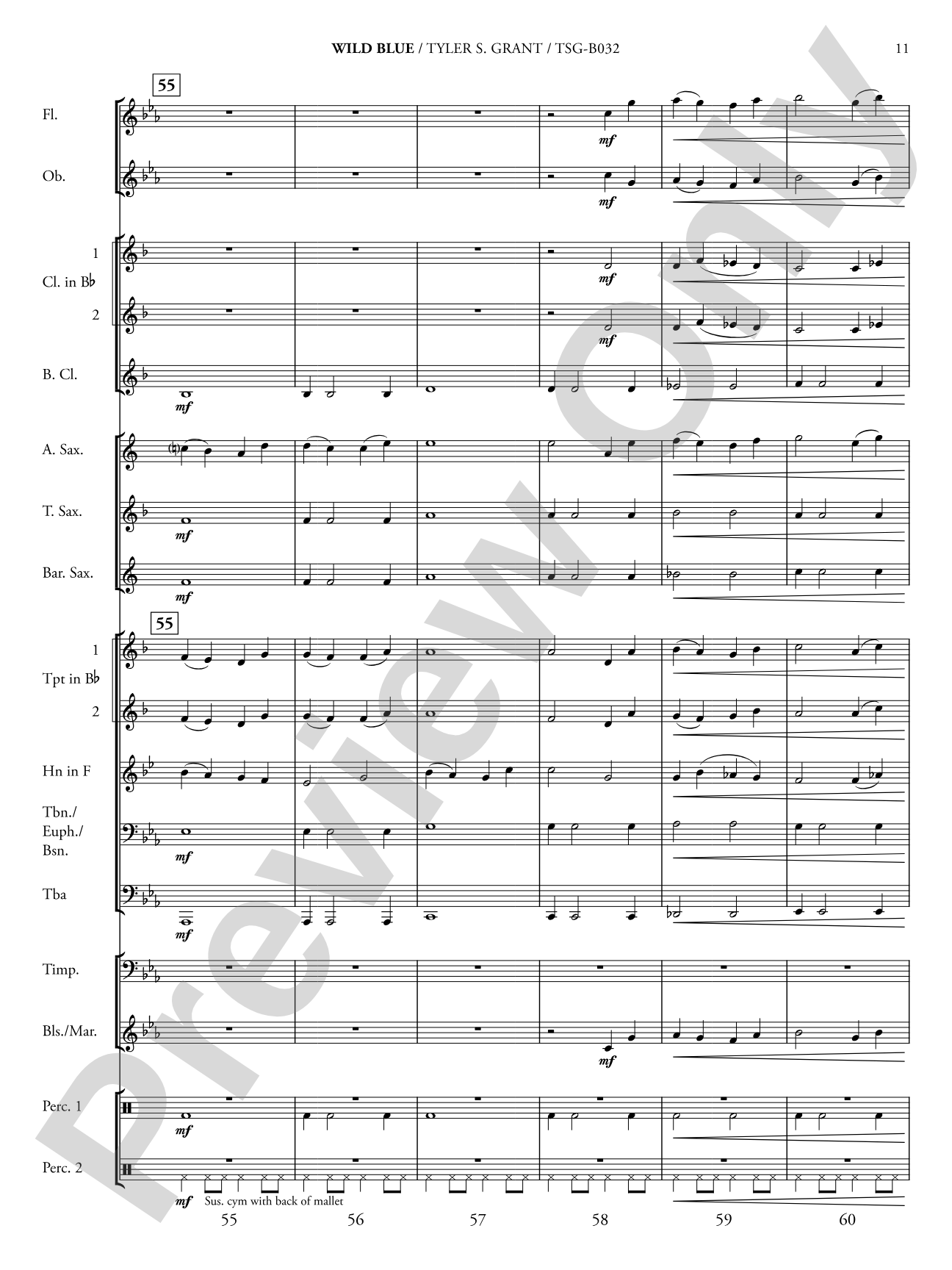 Wild Blue: Concert Band Conductor Score & Parts