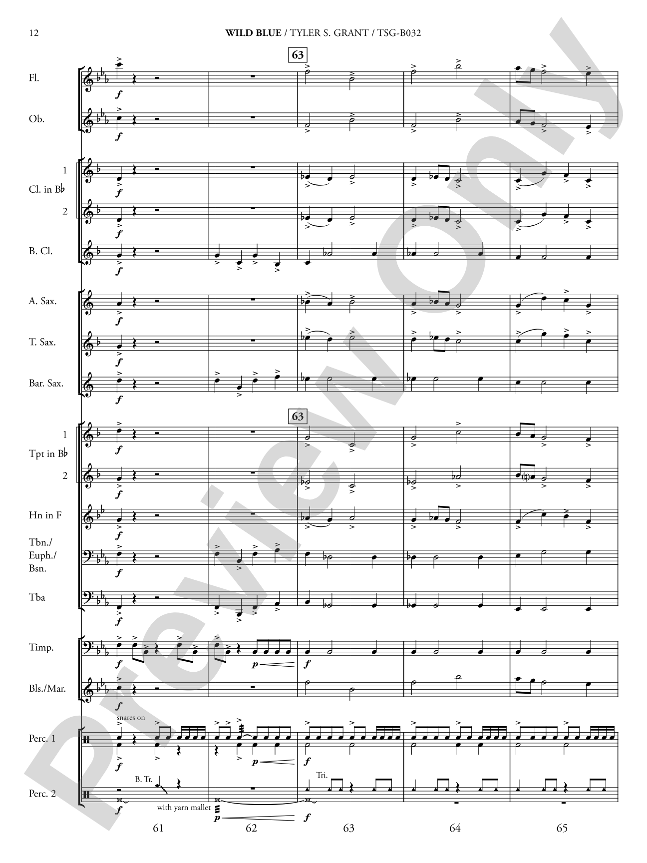 Wild Blue: Concert Band Conductor Score & Parts