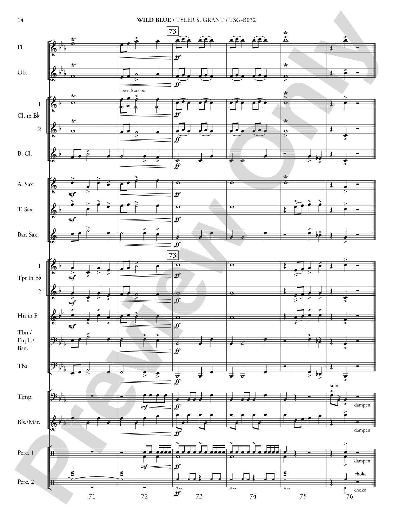 Wild Blue: Concert Band Conductor Score & Parts