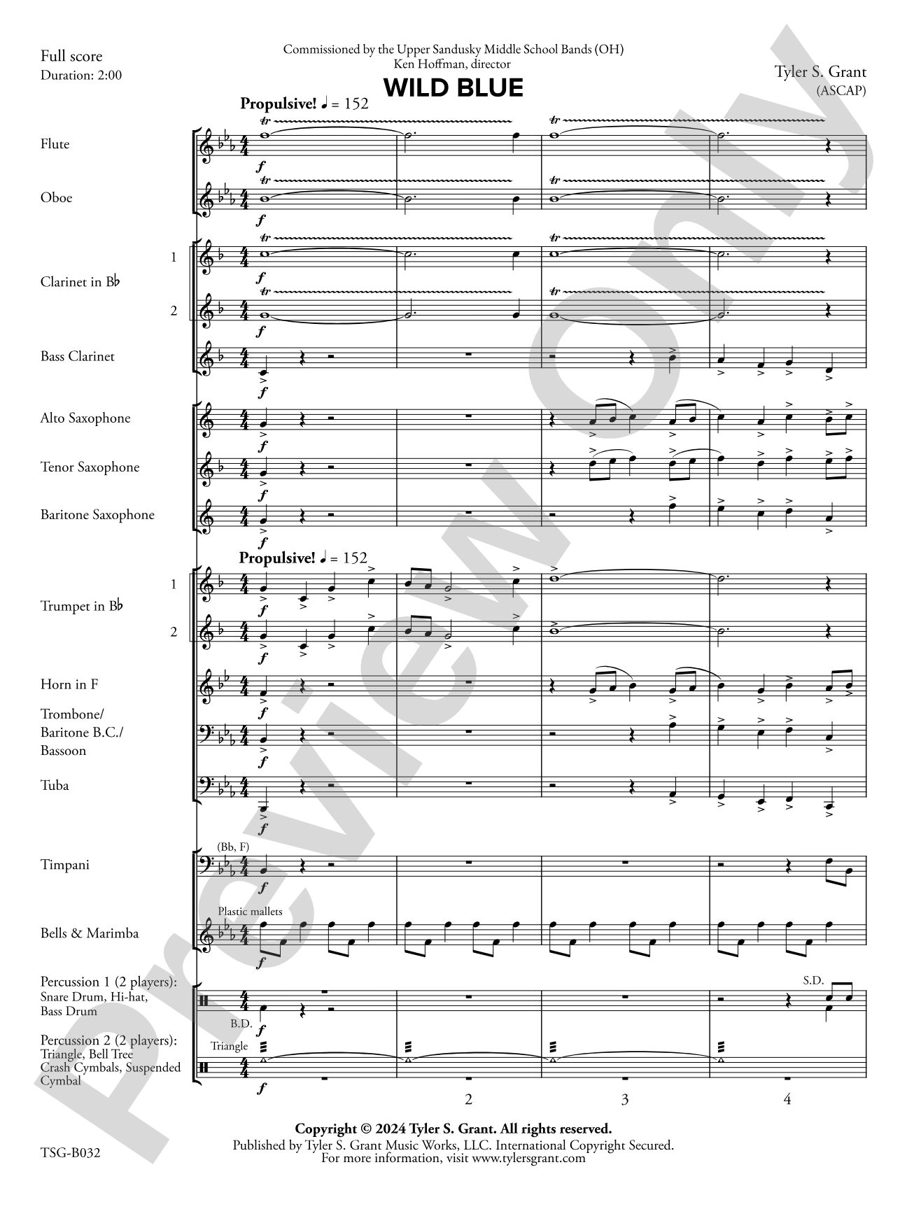 Wild Blue: Concert Band Conductor Score & Parts