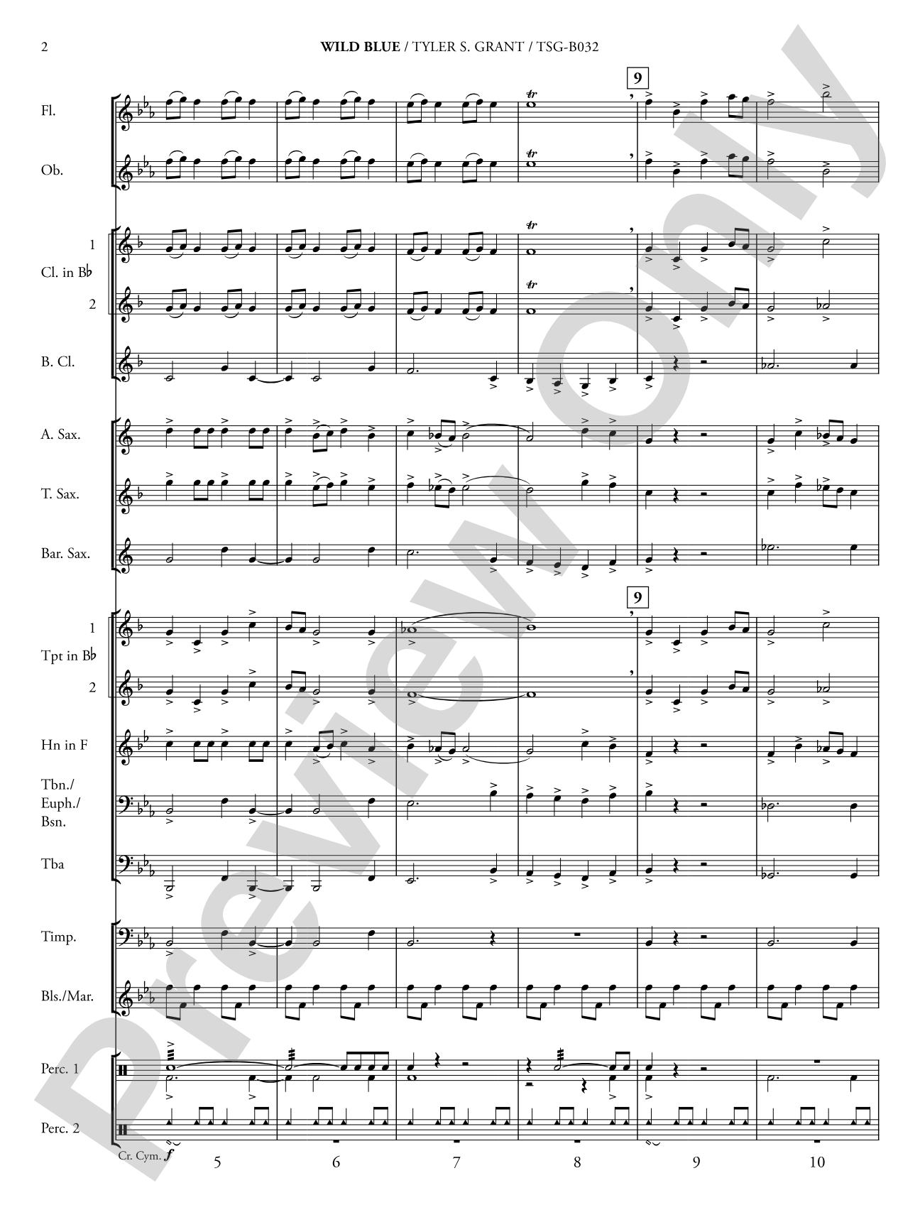 Wild Blue: Concert Band Conductor Score & Parts