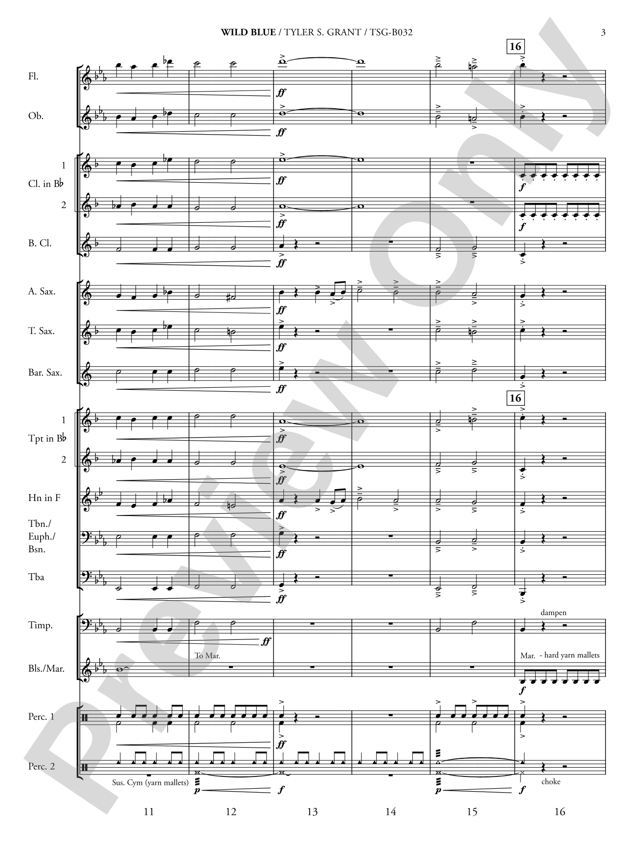 Wild Blue: Concert Band Conductor Score & Parts