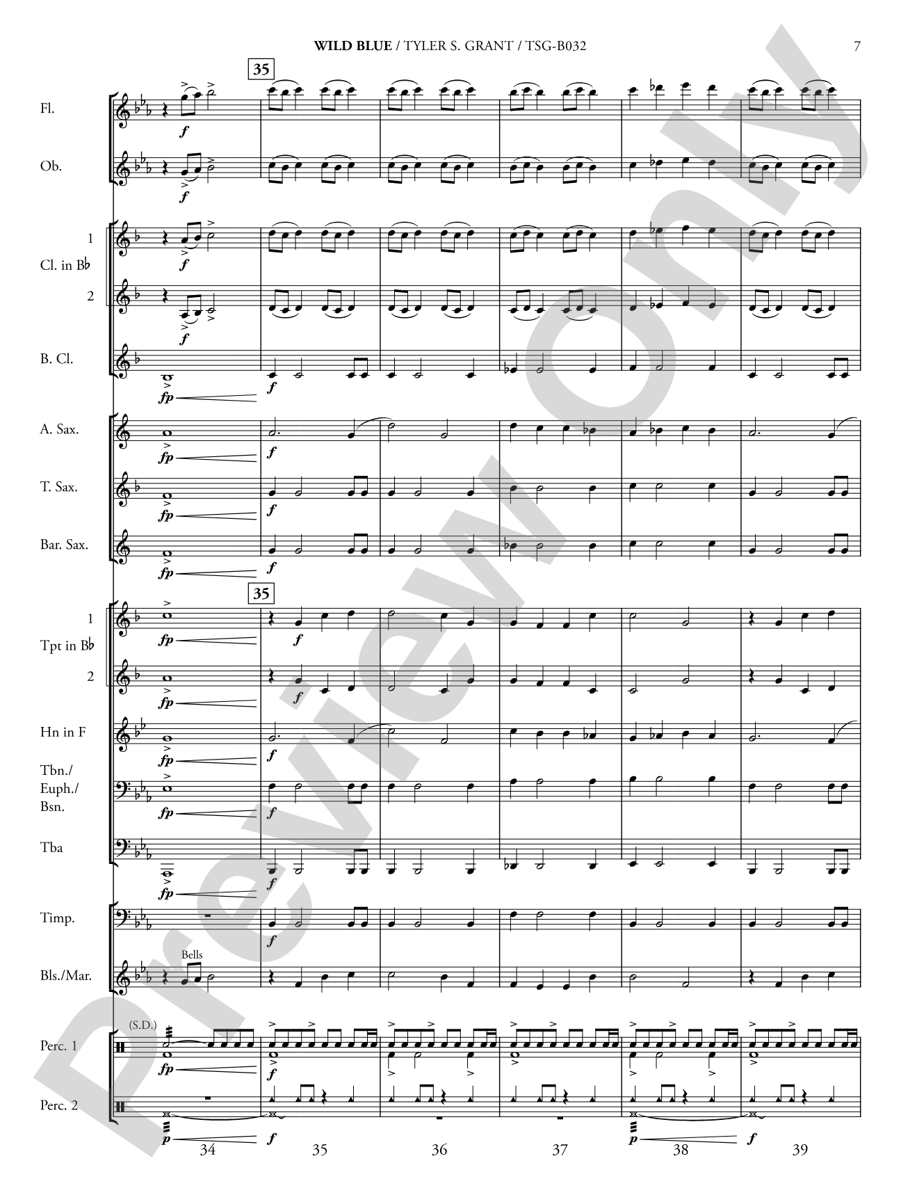 Wild Blue: Concert Band Conductor Score & Parts