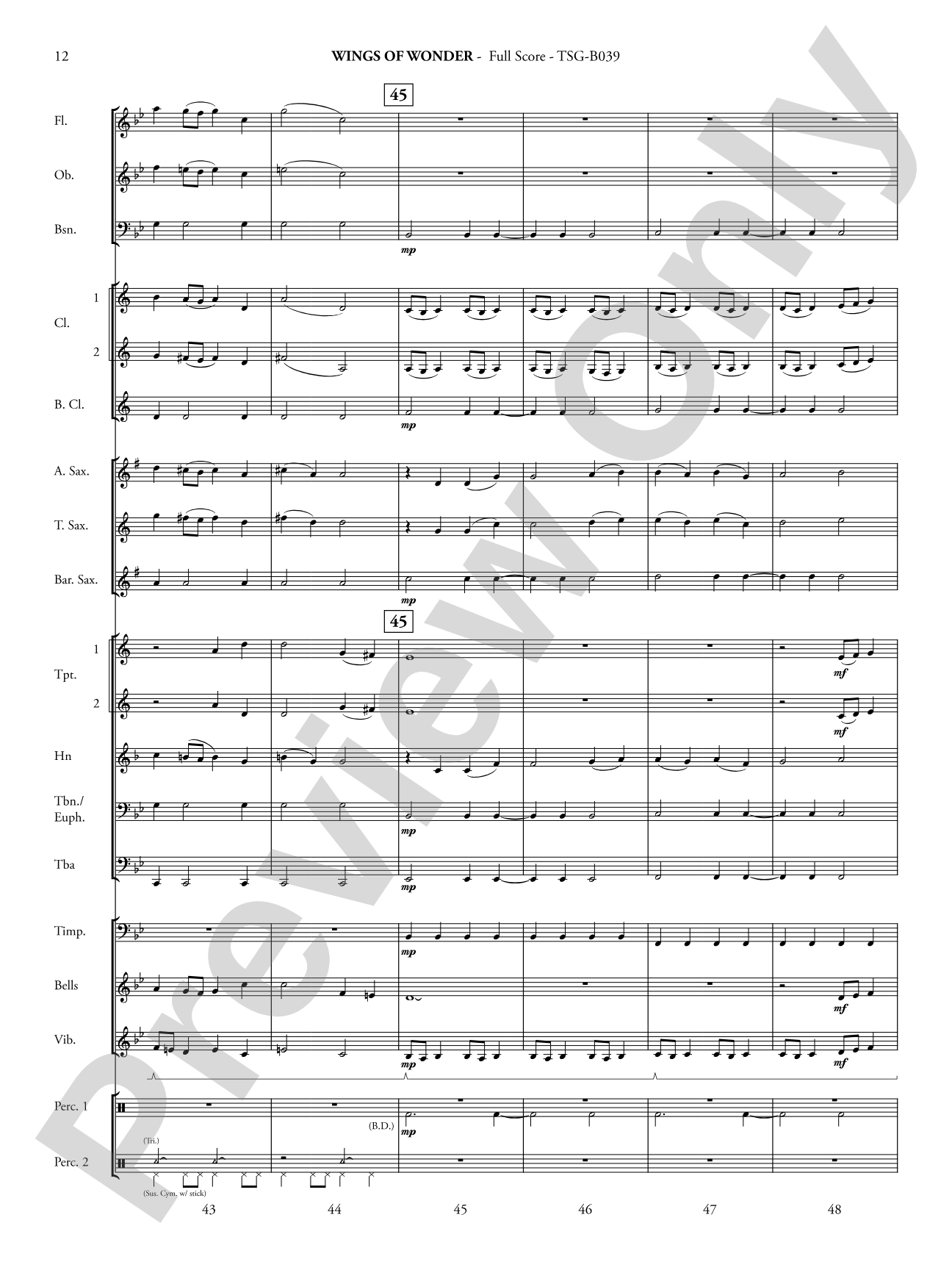 Wings of Wonder: Concert Band Conductor Score & Parts