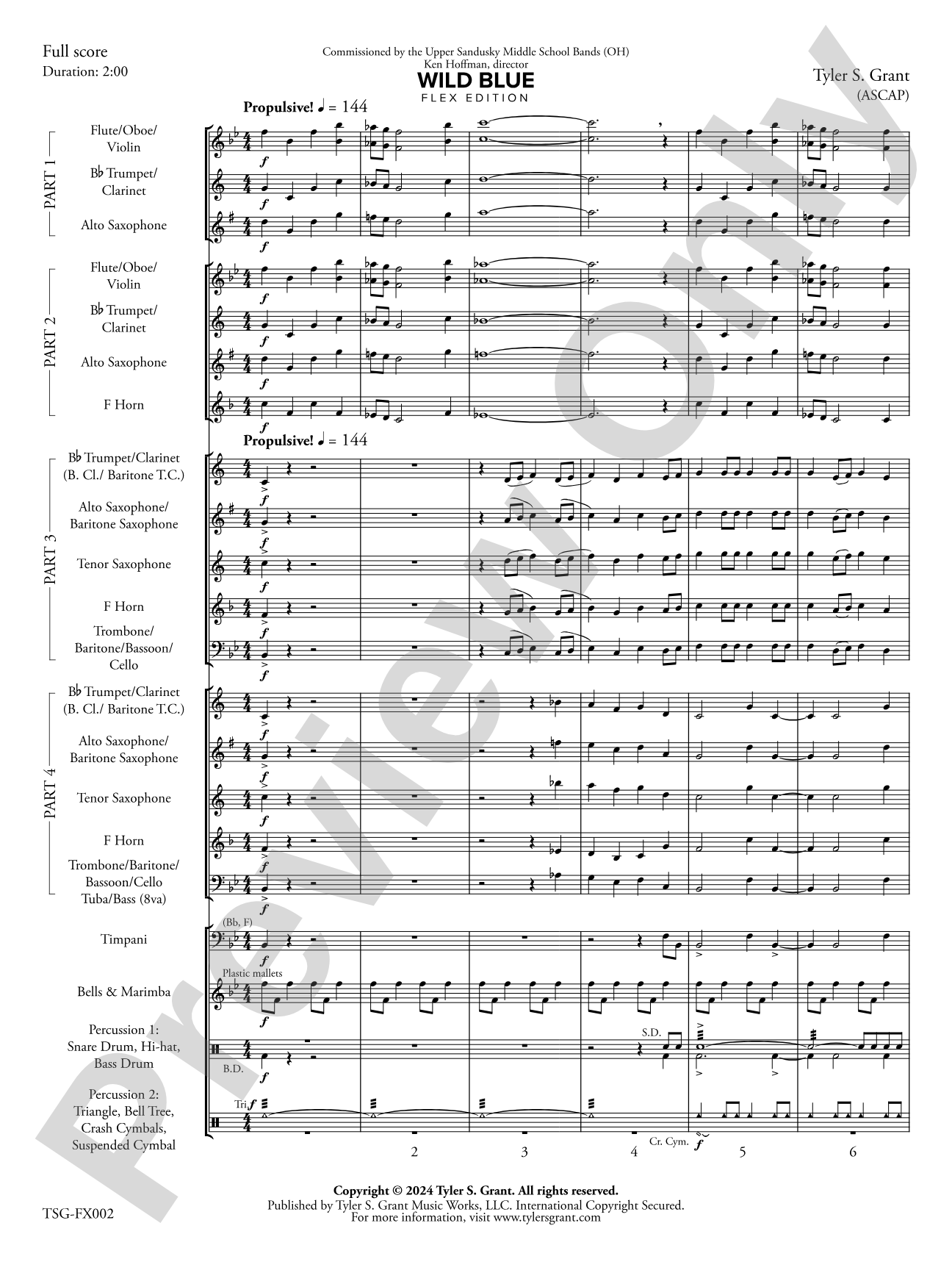 Wild Blue: Flexible Band/String Ensemble Score & Parts