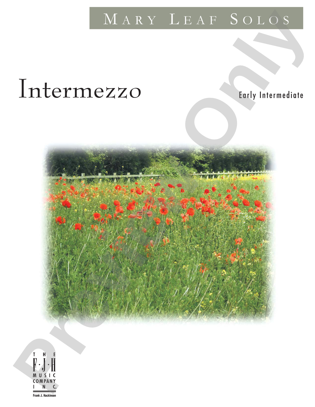 Intermezzo: Piano