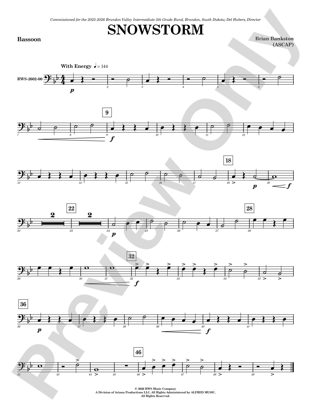 Snowstorm: Bassoon