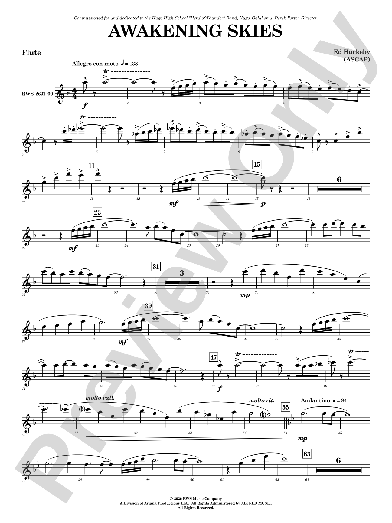 Awakening Skies: Flute