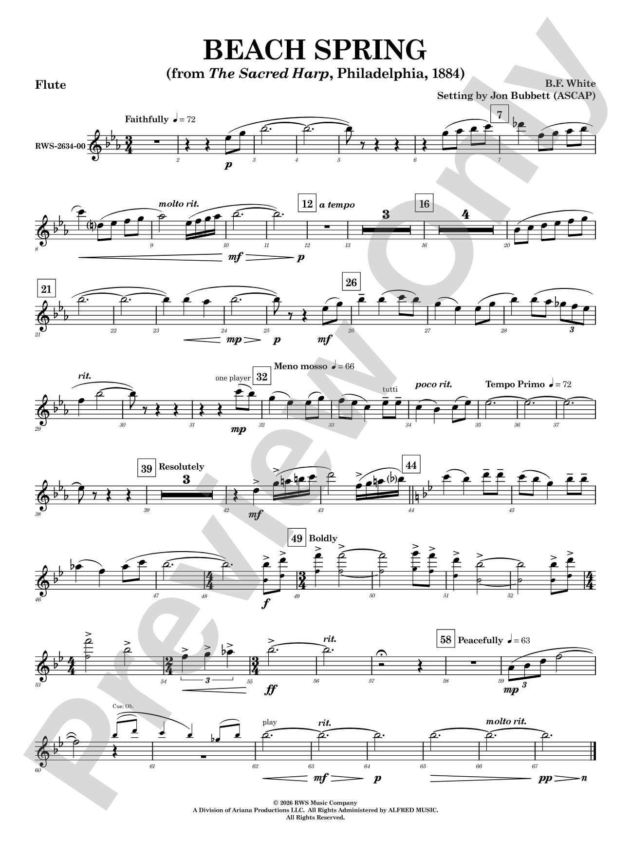 Beach Spring: Flute
