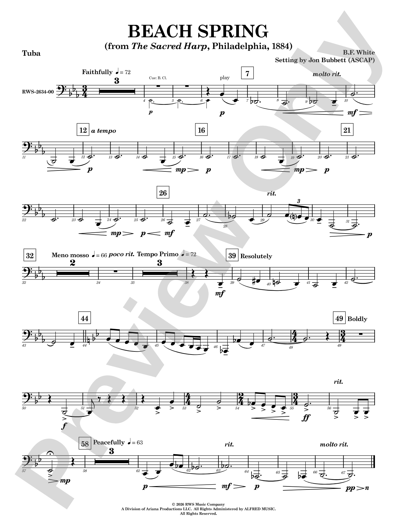 Beach Spring: Tuba