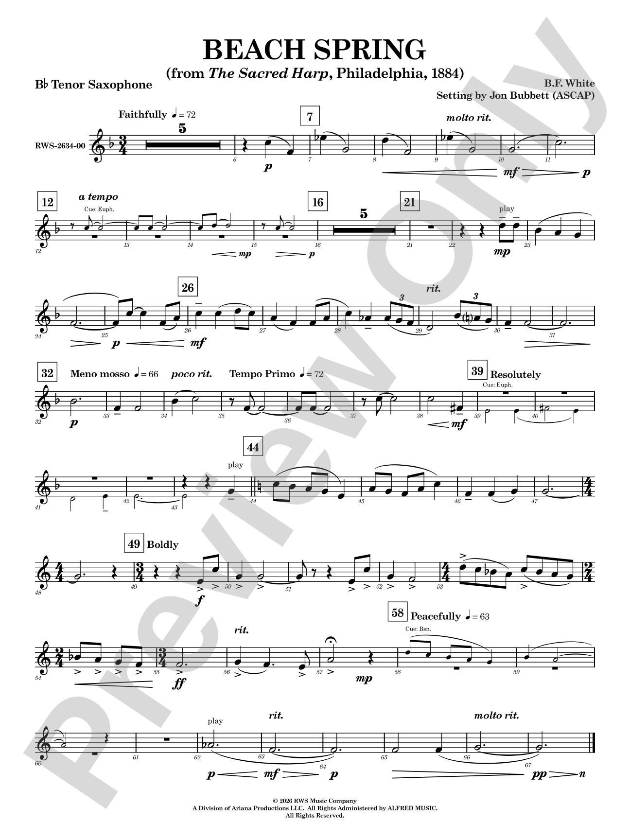 Beach Spring: B-flat Tenor Saxophone