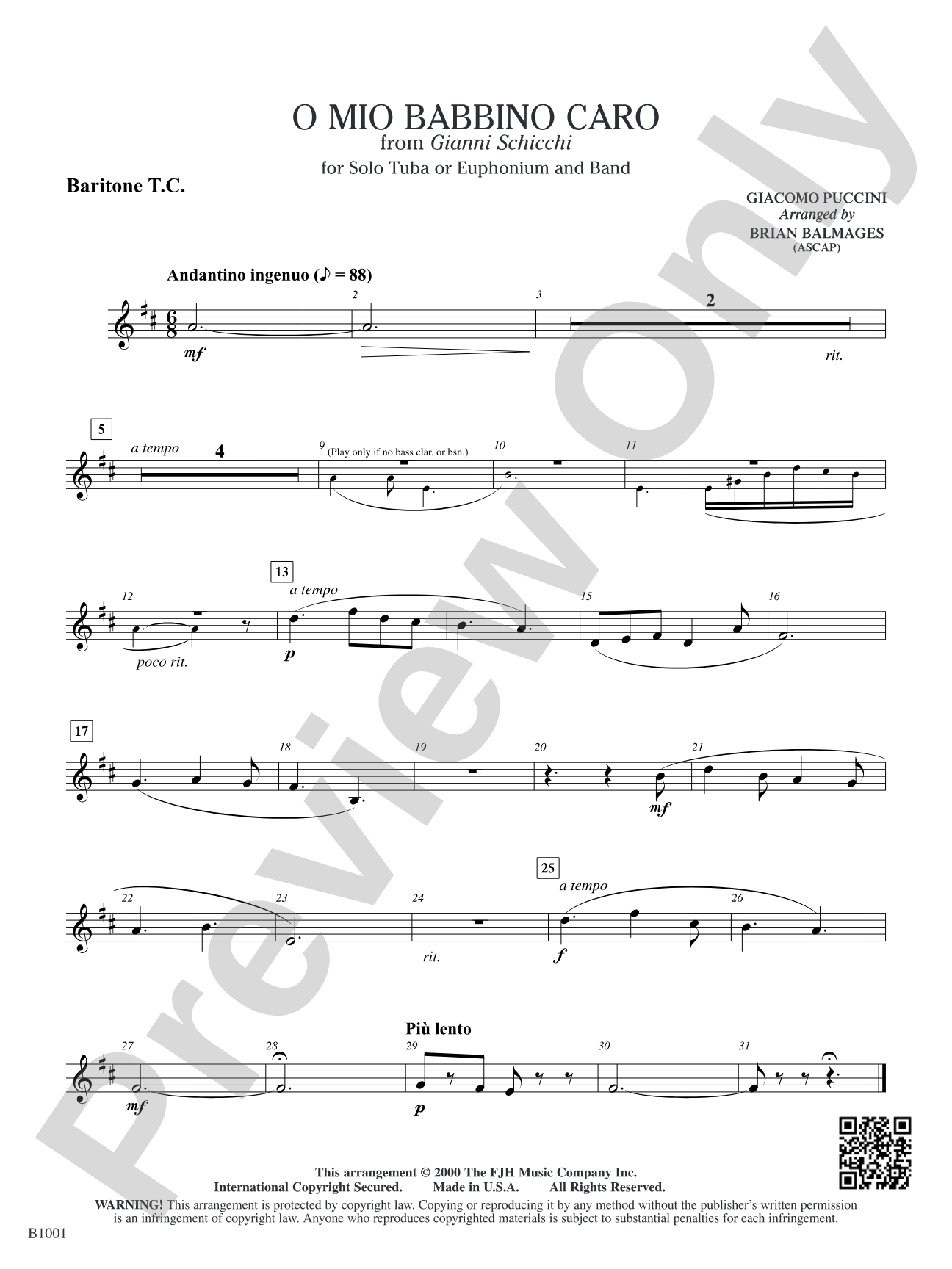 O Mio Babbino Caro (from Puccini's <i>Gianni Schicchi</i>): Baritone T.C.
