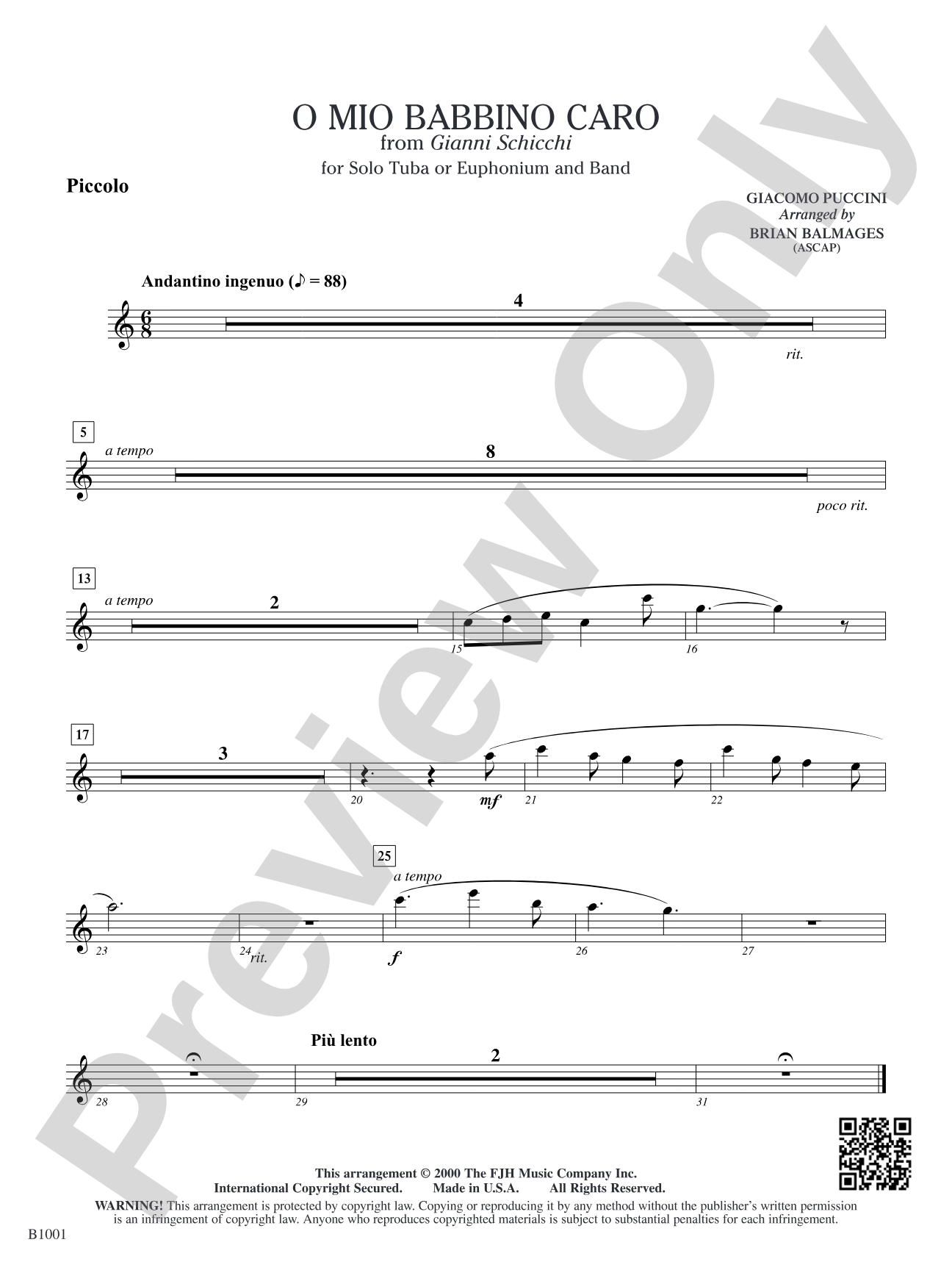 O Mio Babbino Caro (from Puccini's <i>Gianni Schicchi</i>): Piccolo