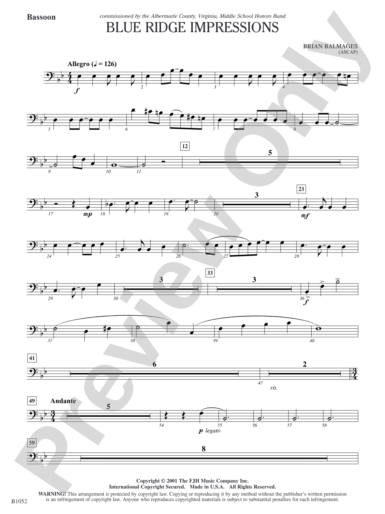 Blue Ridge Impressions: Bassoon