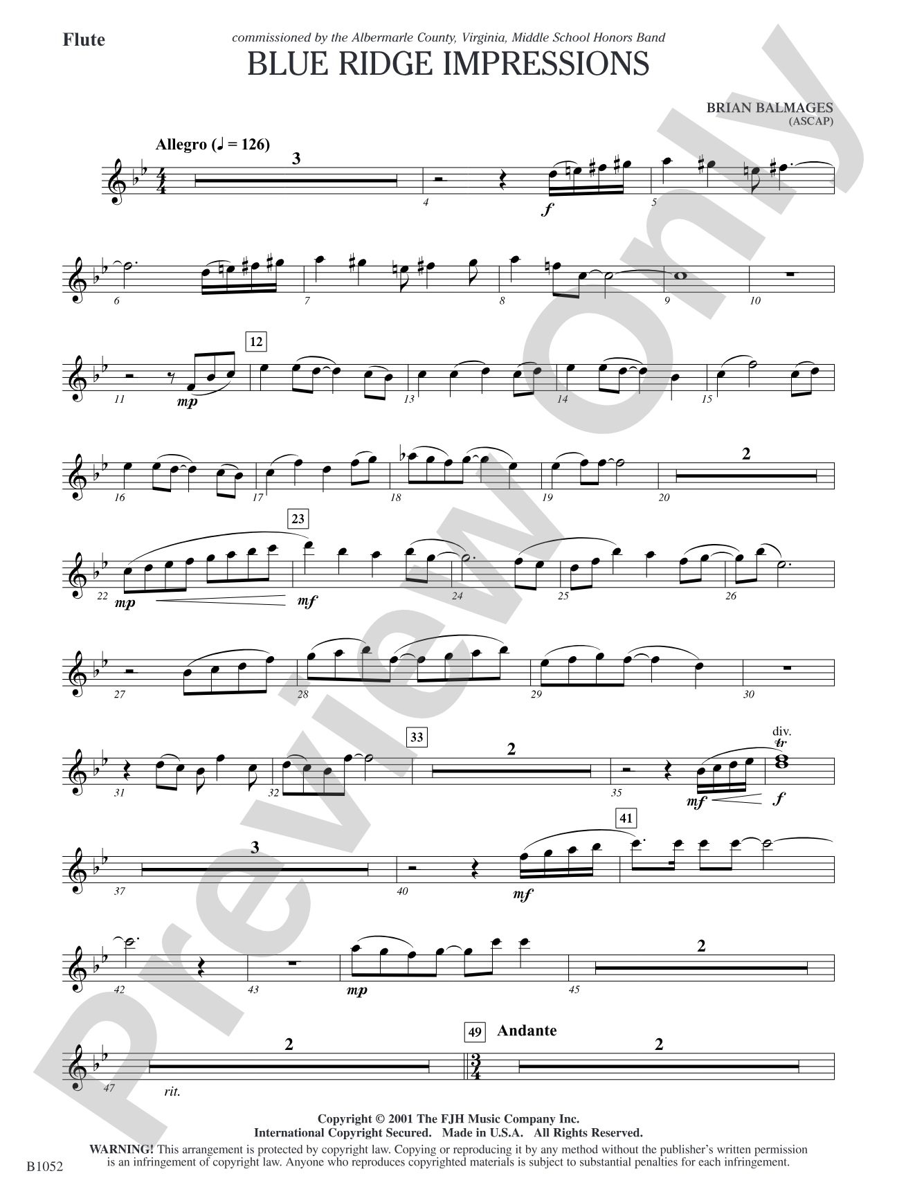 Blue Ridge Impressions: Flute