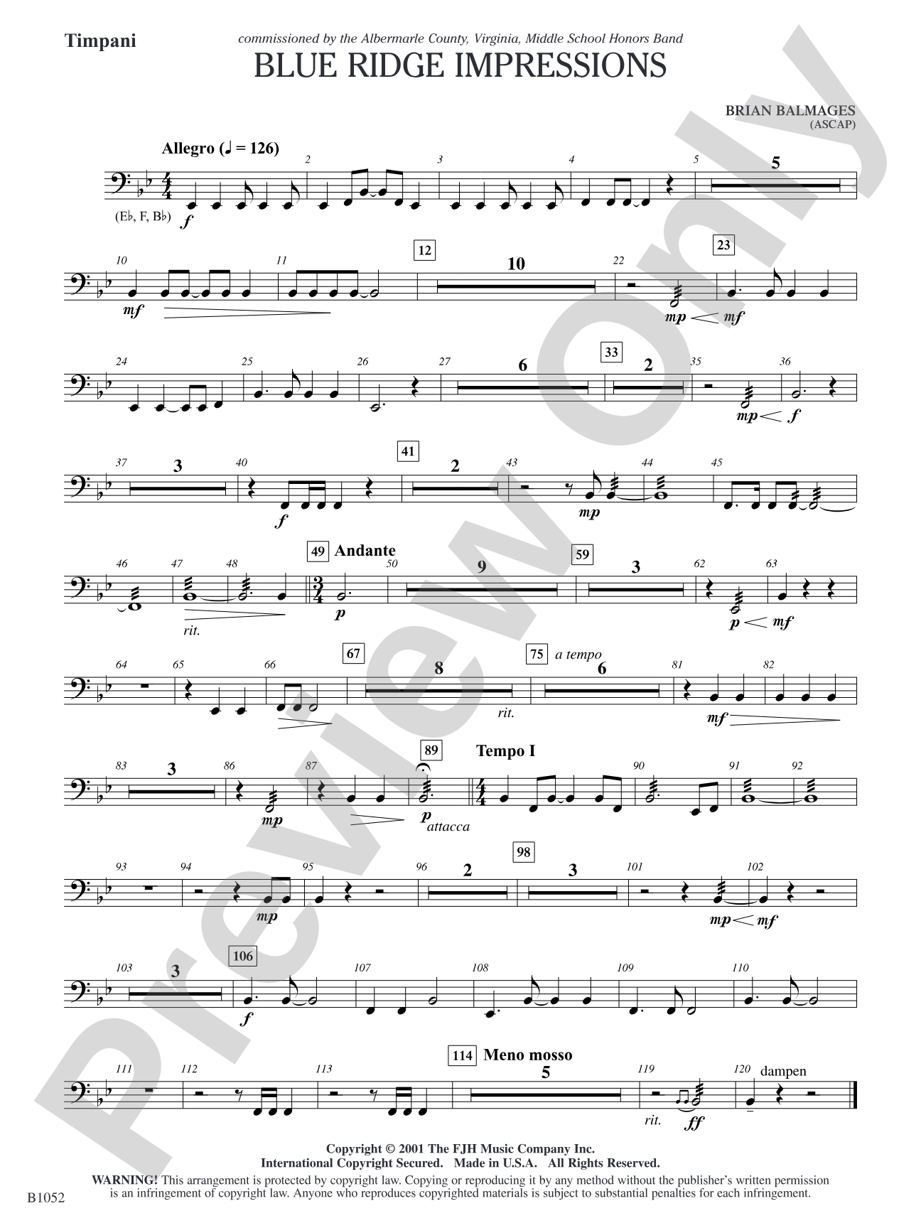 Blue Ridge Impressions: Timpani