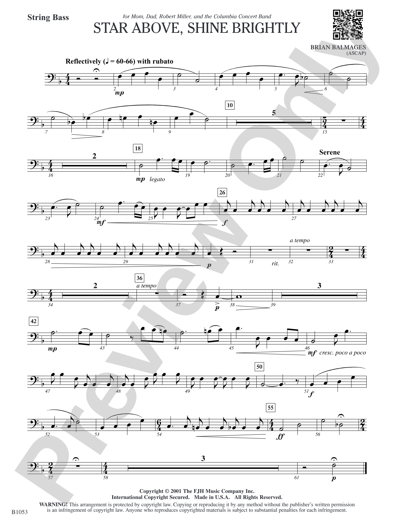 Star Above, Shine Brightly: String Bass