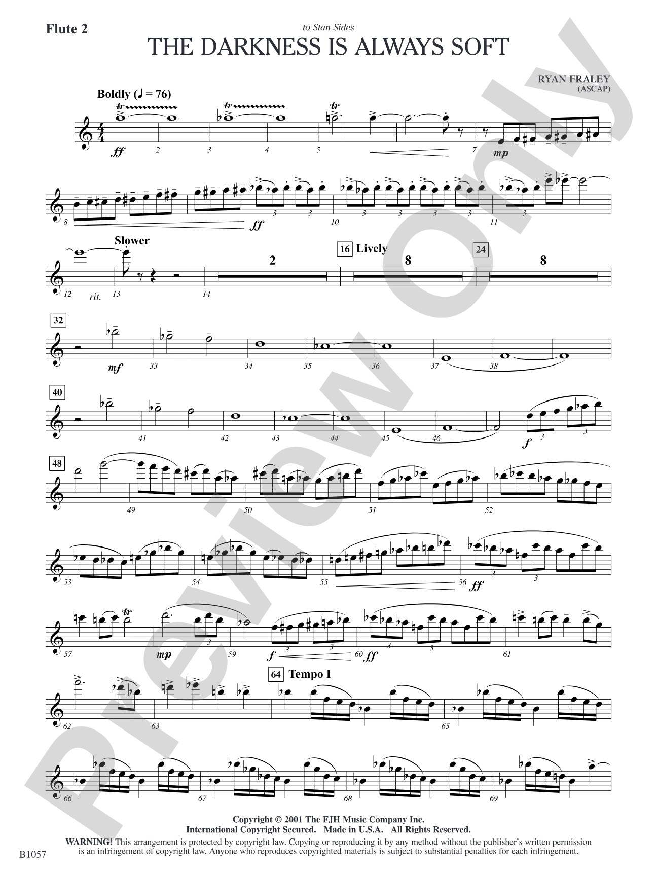 The Darkness is Always Soft: Flute 2