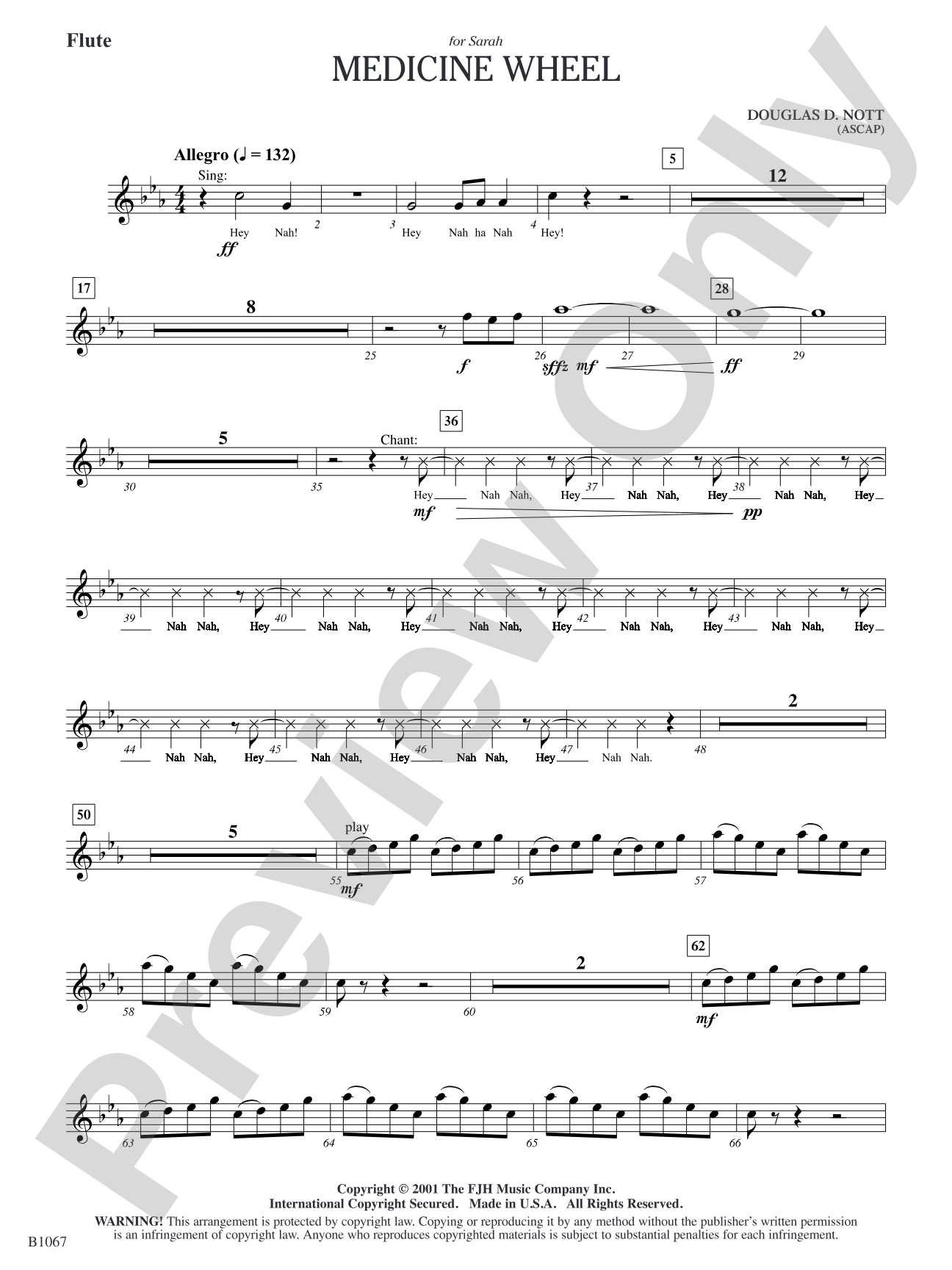 Medicine Wheel: Flute