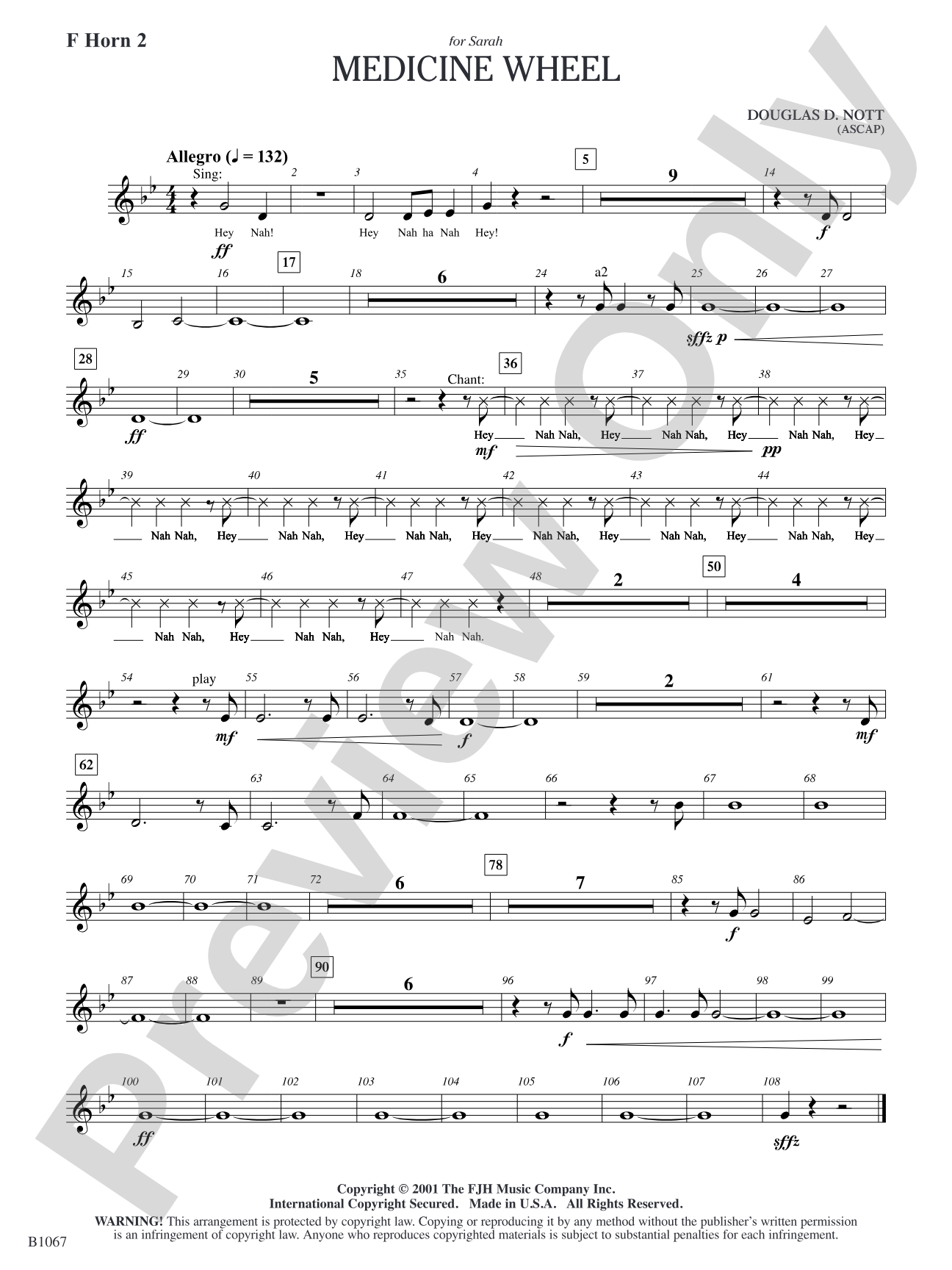 Medicine Wheel: F Horn 2