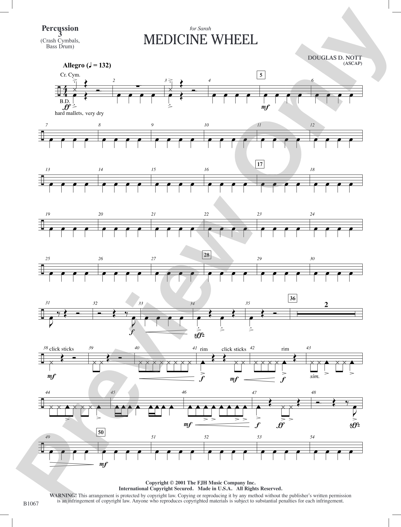 Medicine Wheel: Percussion 3