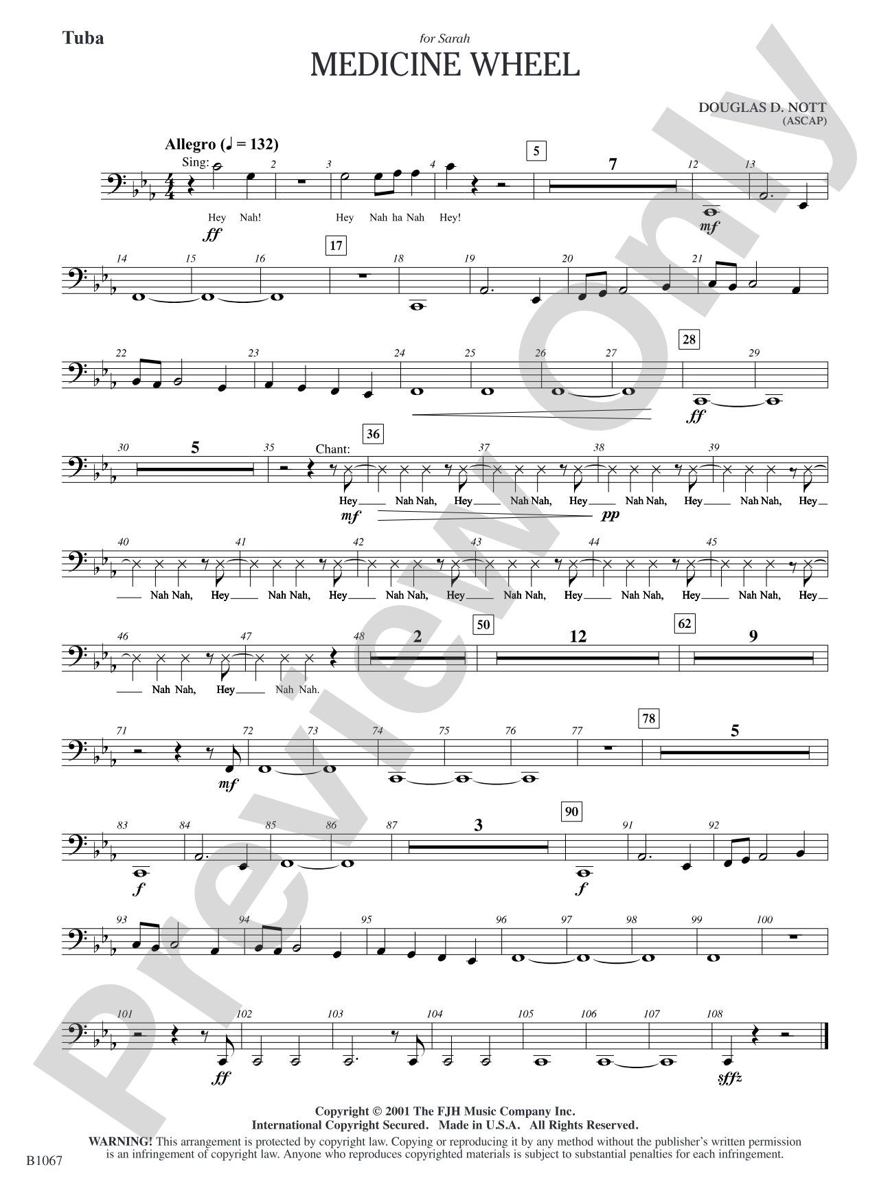 Medicine Wheel: Tuba
