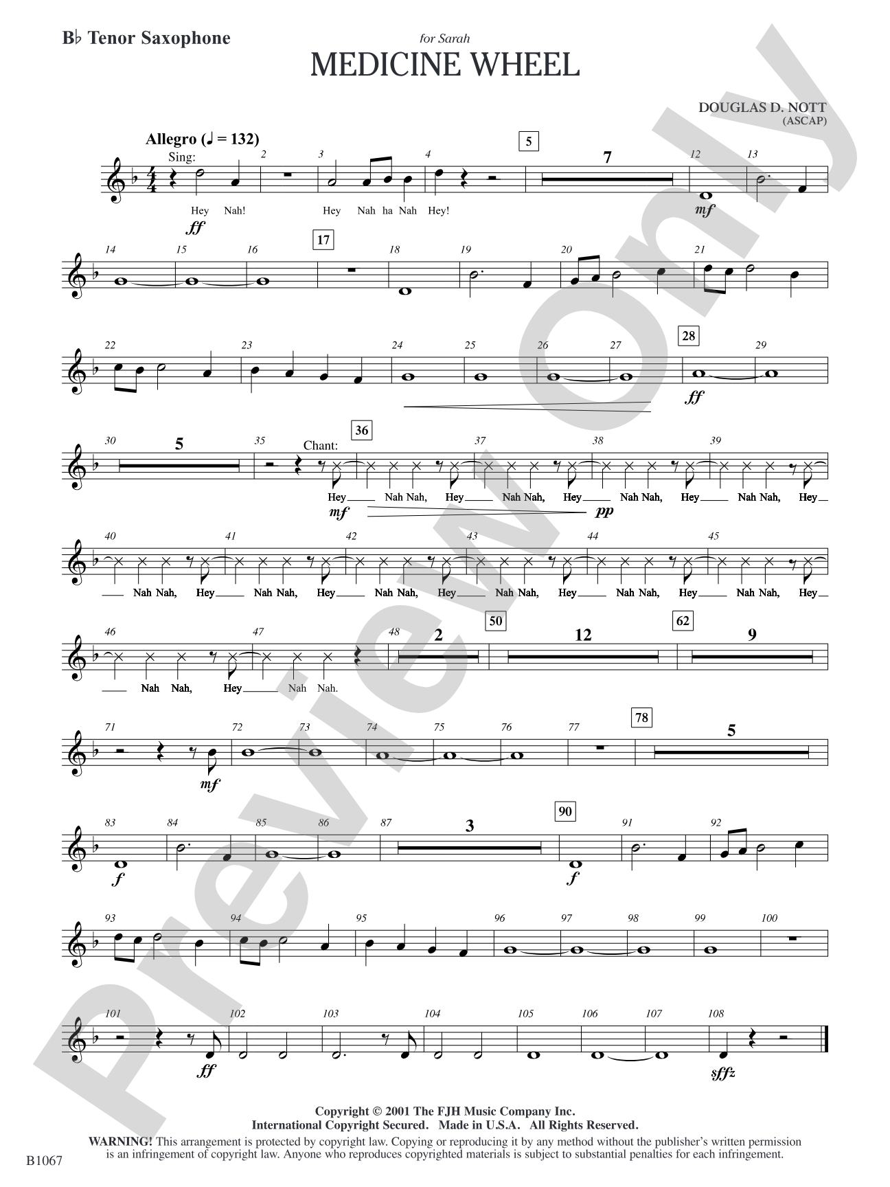 Medicine Wheel: B-flat Tenor Saxophone