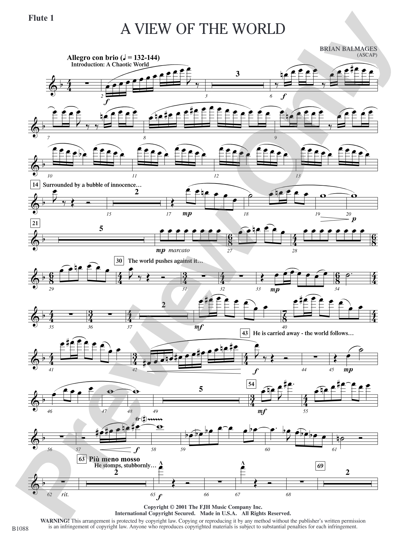 A View of the World: Flute 1