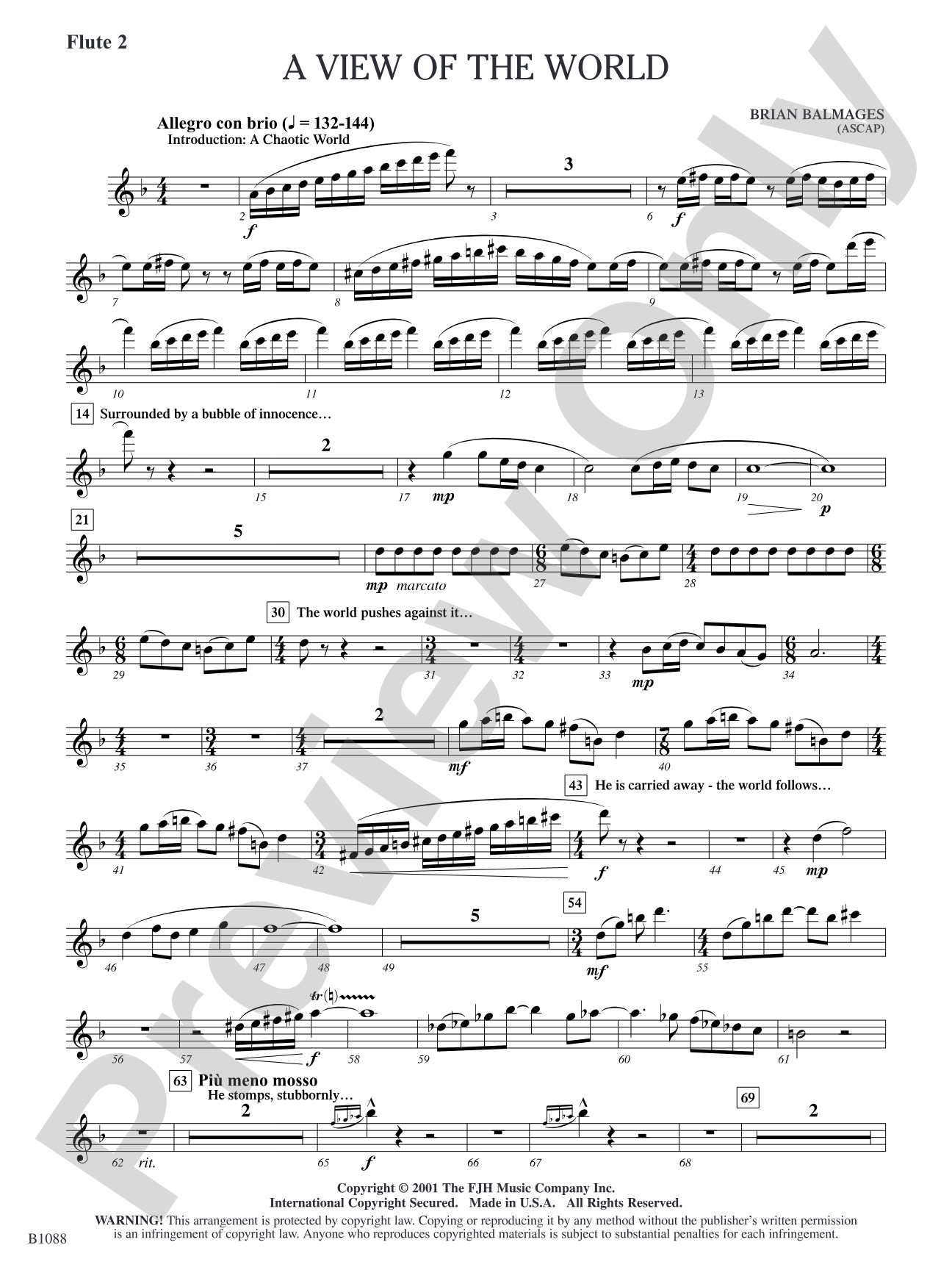 A View of the World: Flute 2