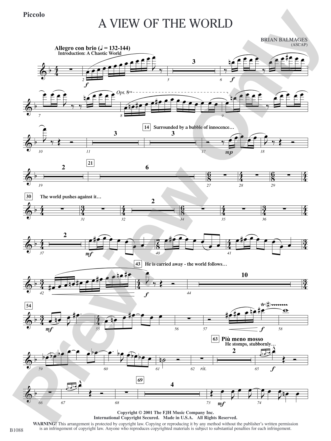 A View of the World: Piccolo