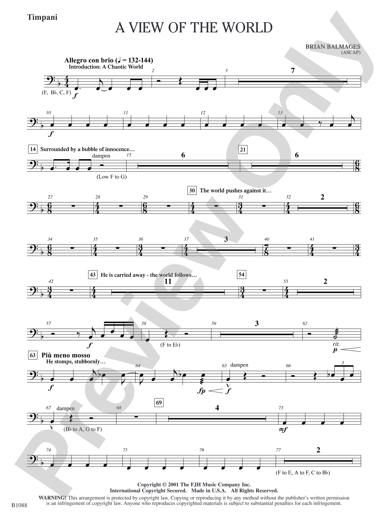 A View of the World: Timpani