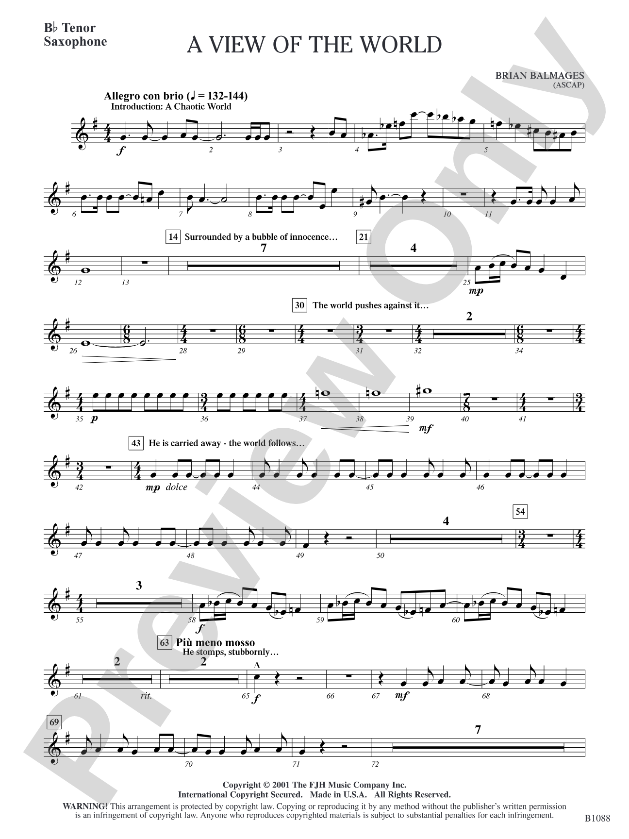 A View of the World: B-flat Tenor Saxophone