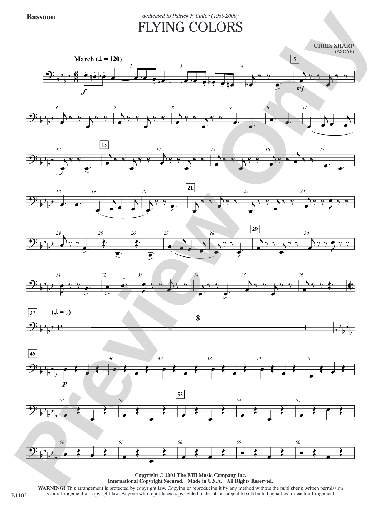 Flying Colors: Bassoon