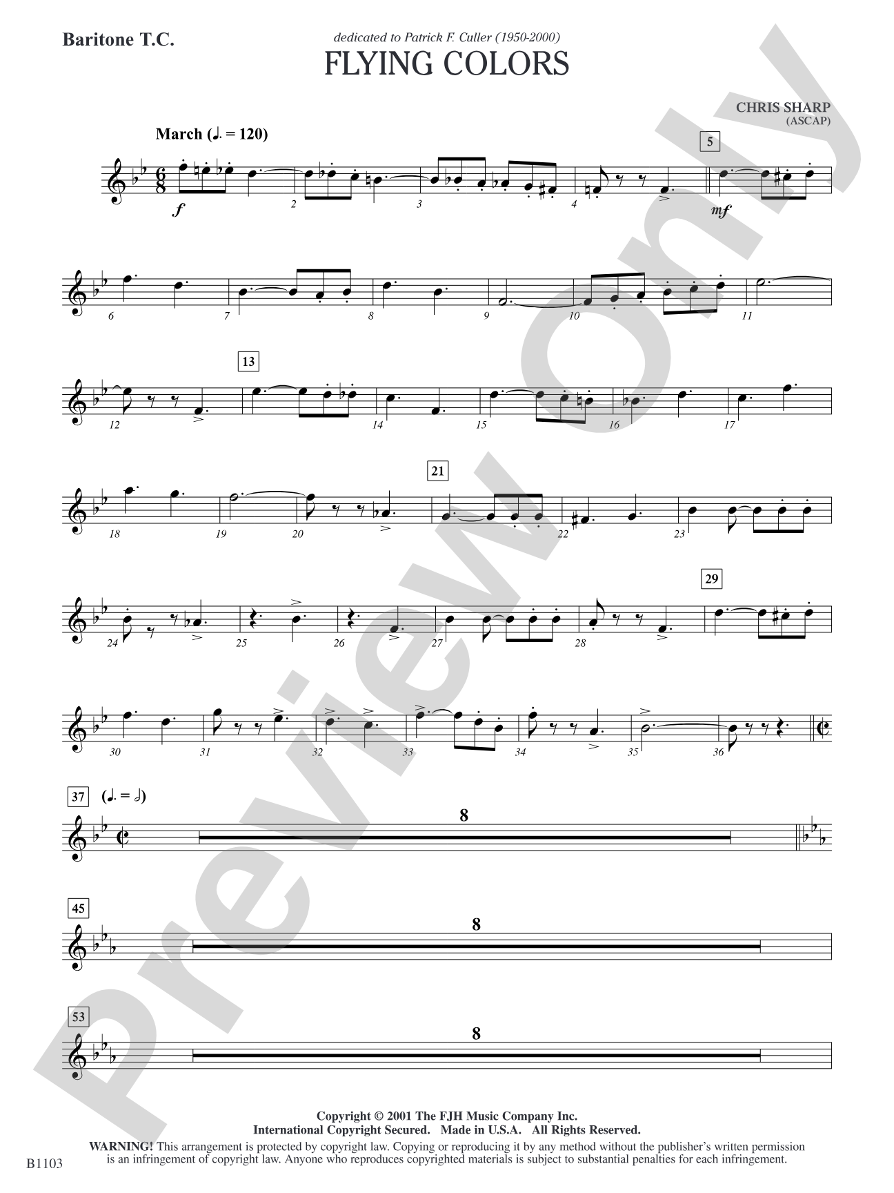 Flying Colors: Baritone T.C.