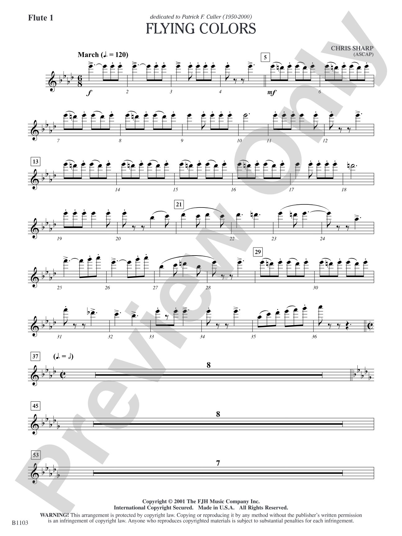 Flying Colors: Flute 1