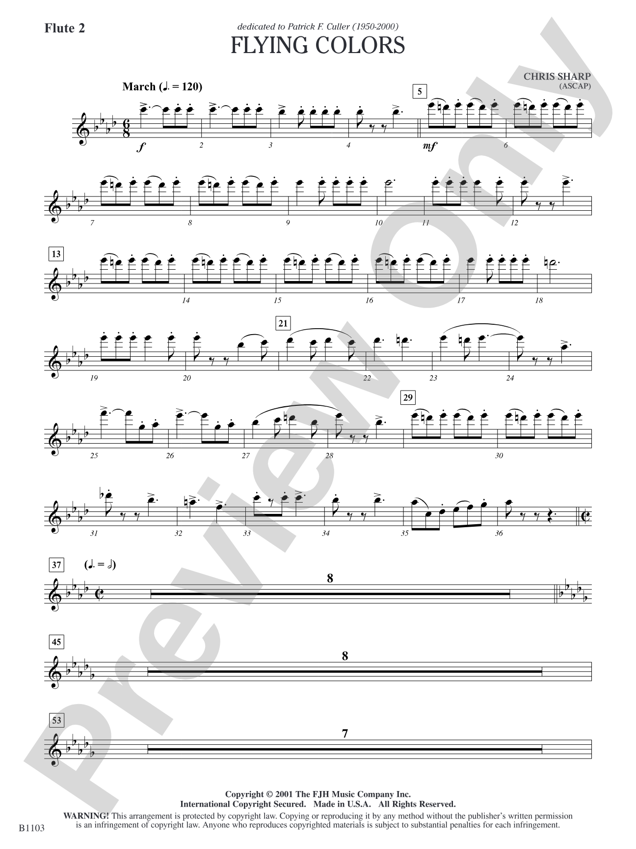 Flying Colors: Flute 2