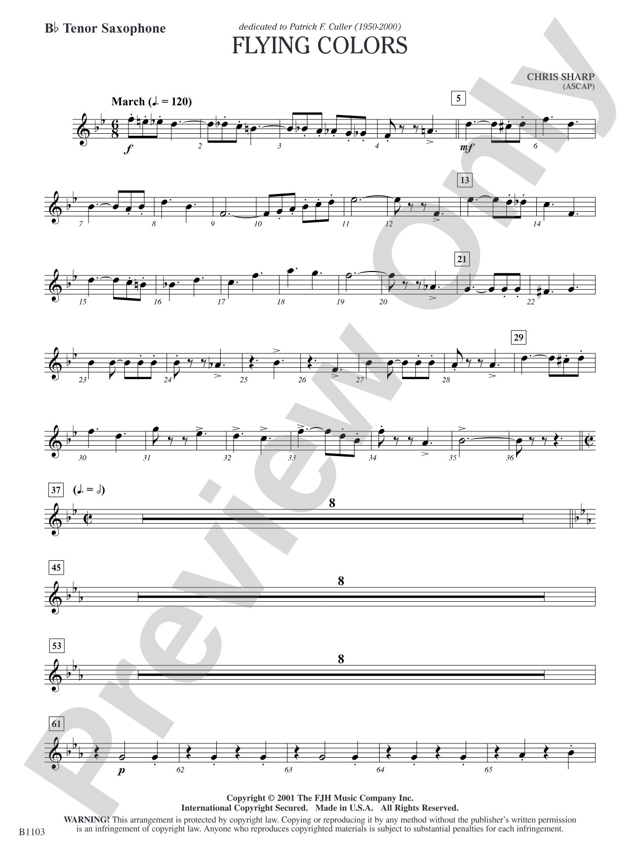 Flying Colors: B-flat Tenor Saxophone