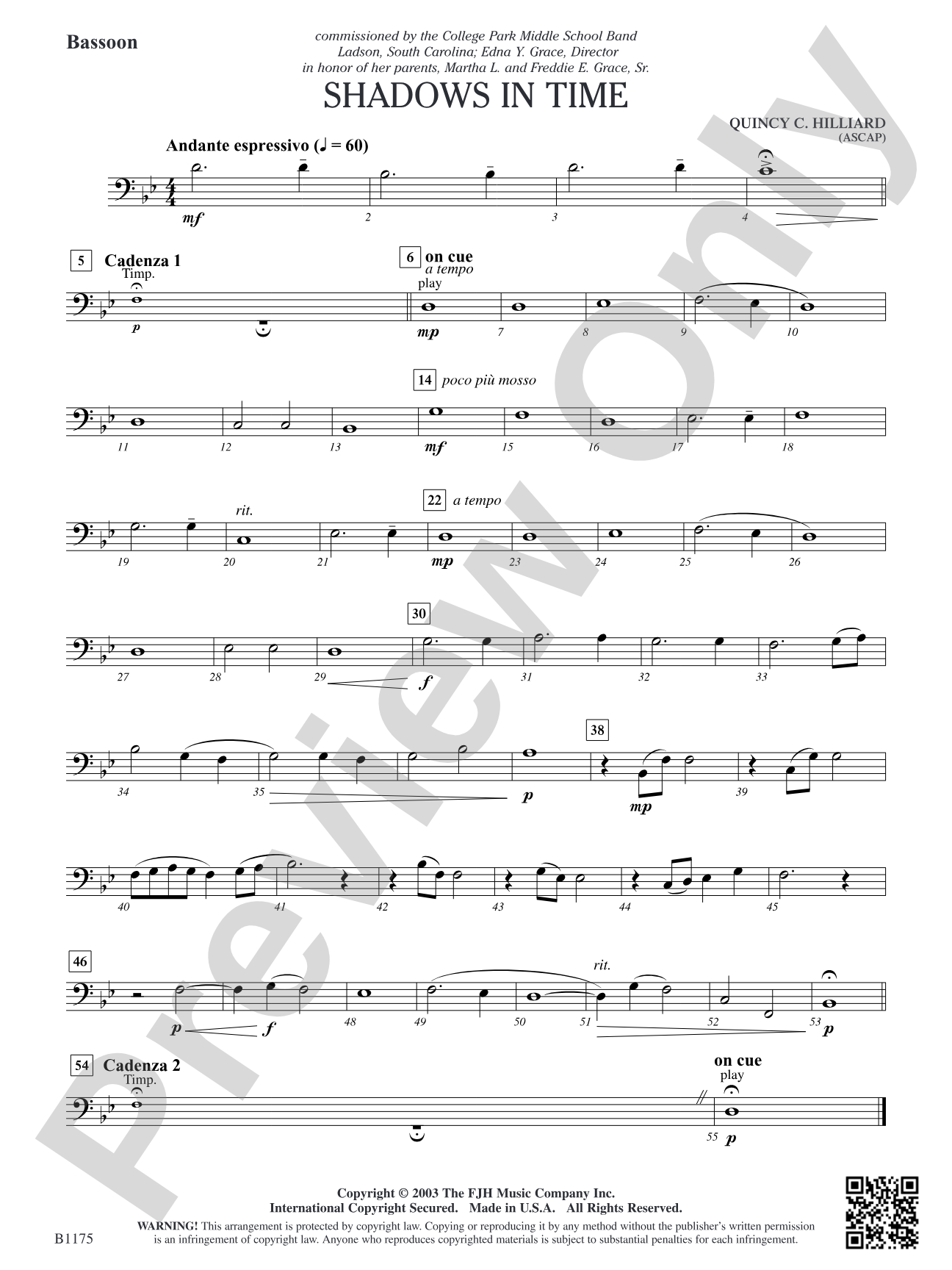 Shadows in Time: Bassoon