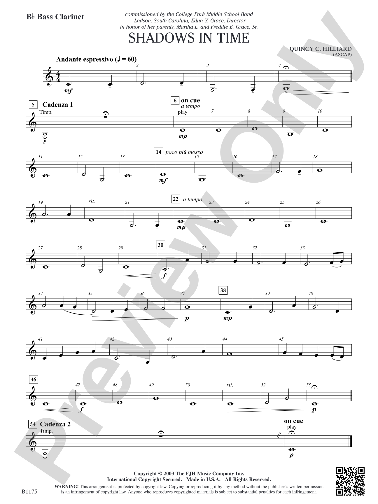 Shadows in Time: B-flat Bass Clarinet