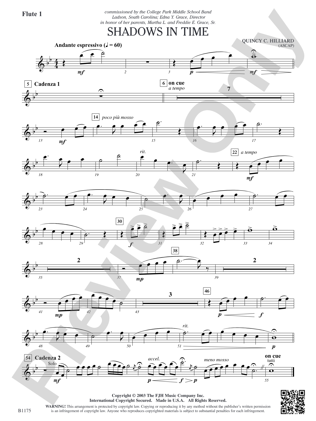 Shadows in Time: Flute 1