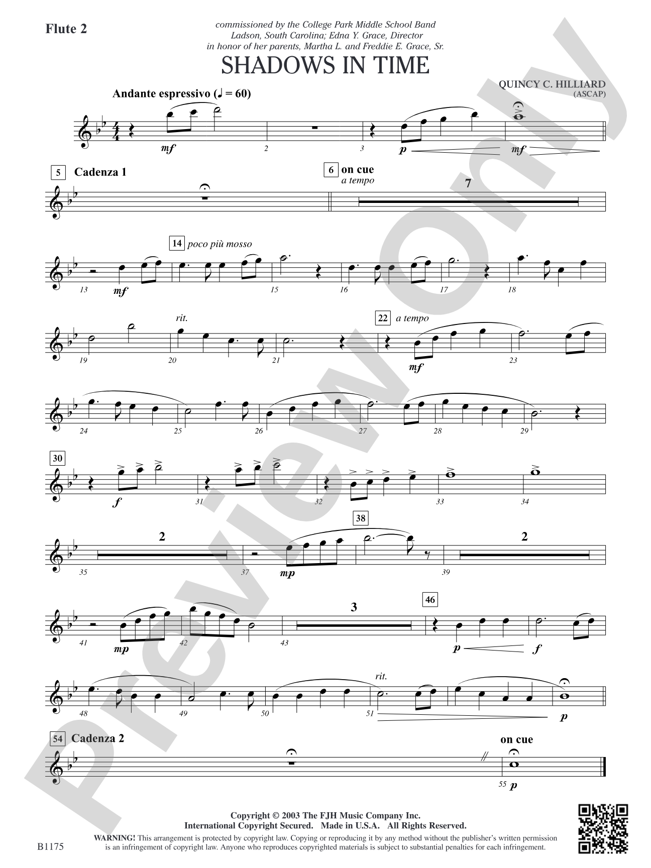 Shadows in Time: Flute 2