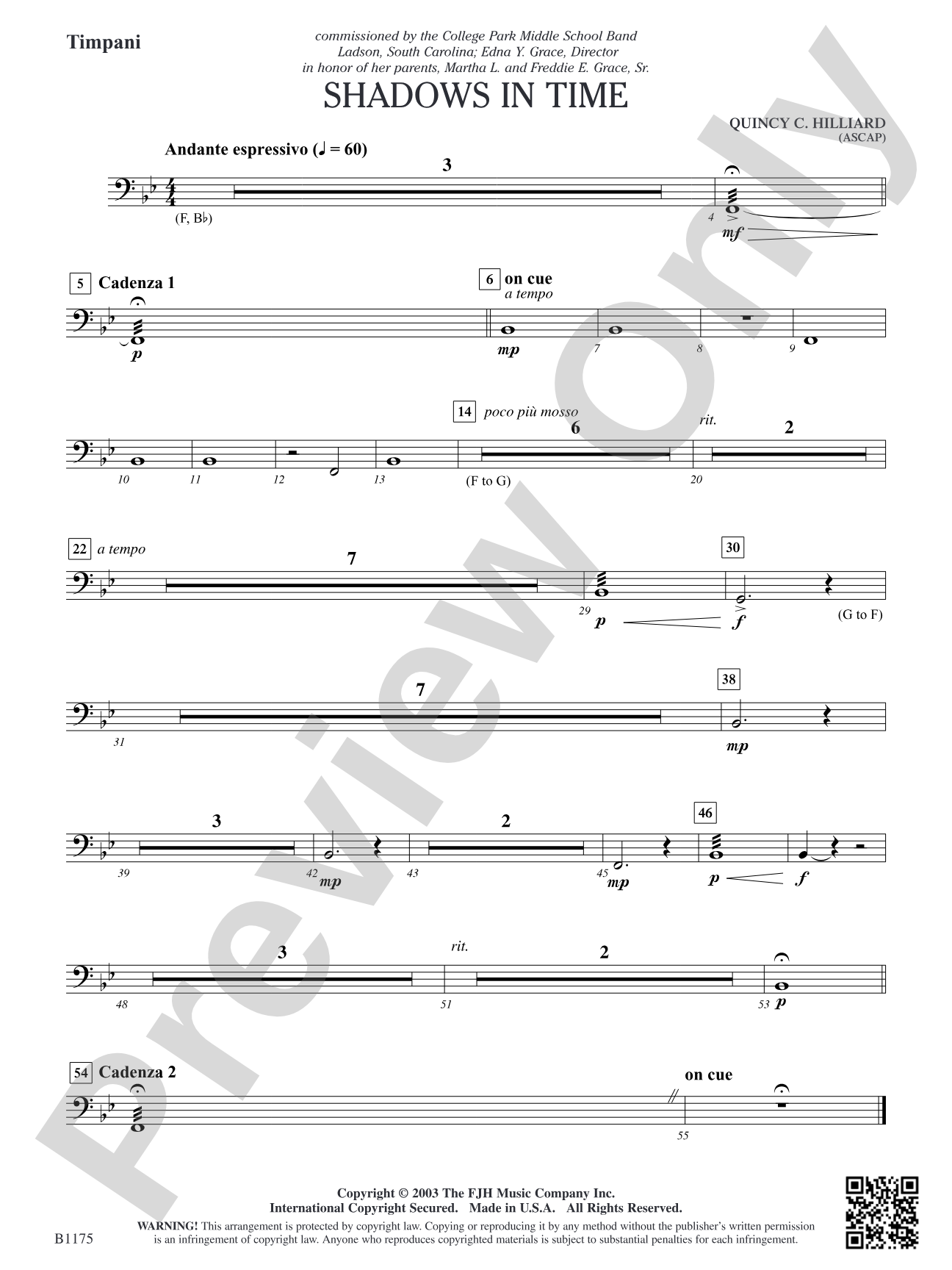 Shadows in Time: Timpani