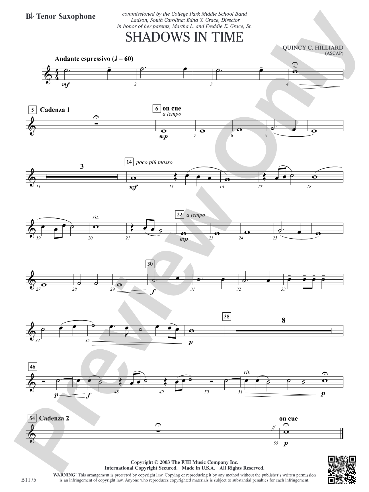Shadows in Time: B-flat Tenor Saxophone